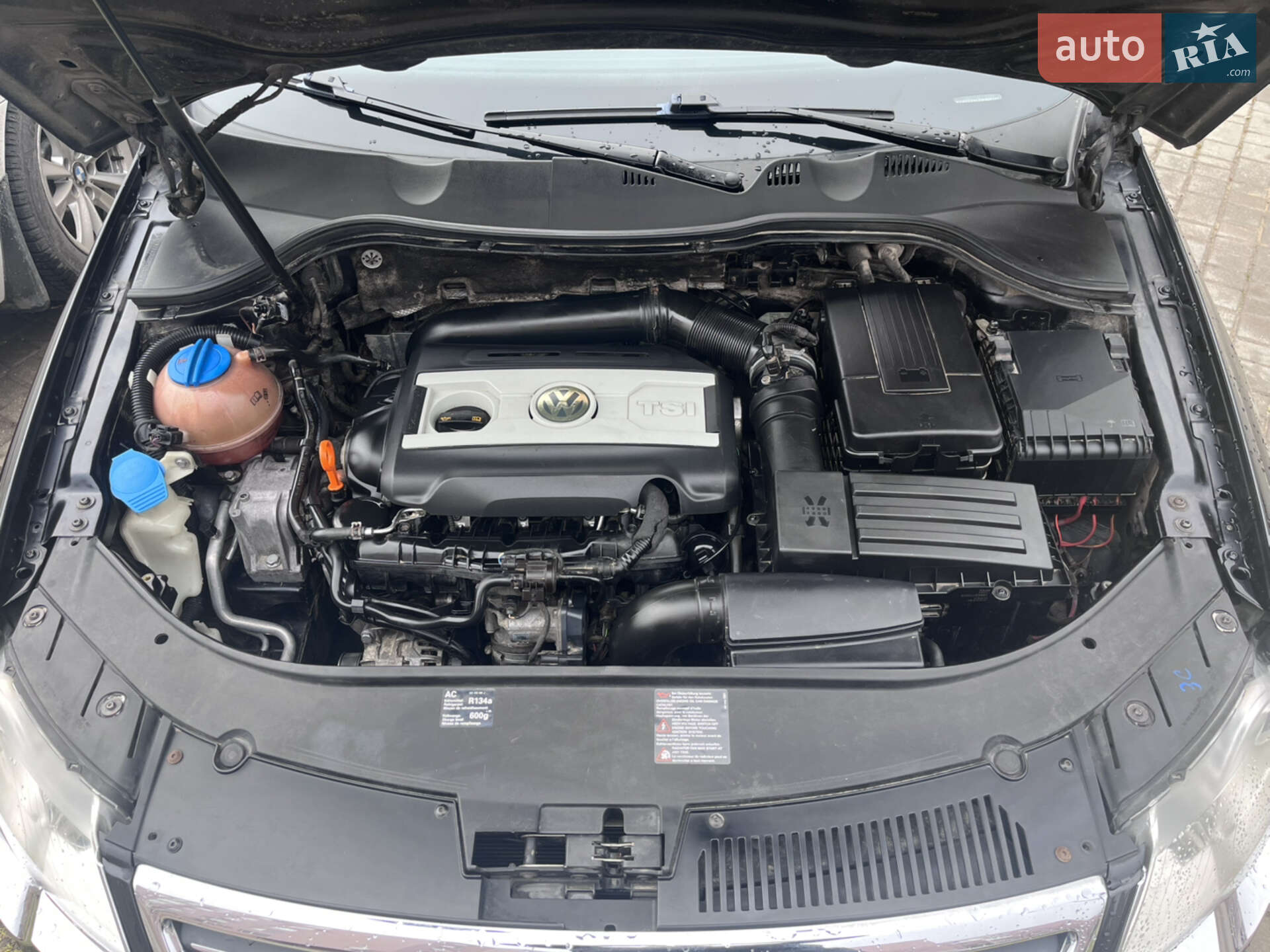 Volkswagen Passat 2008 VIN WVWZZZ3CZ9P026107 фото оголошення 13 з 15