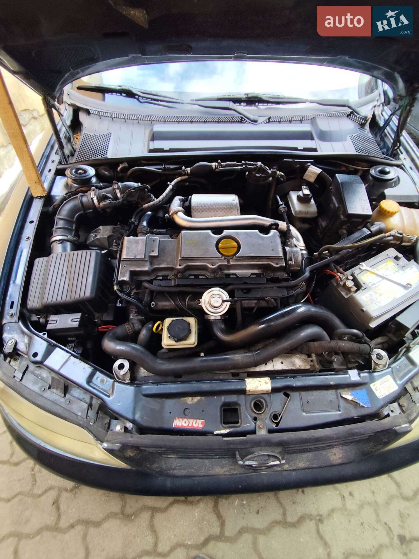 Opel Vectra 1999 VIN W0L0JBF35Y1041664 фото оголошення 22 з 27