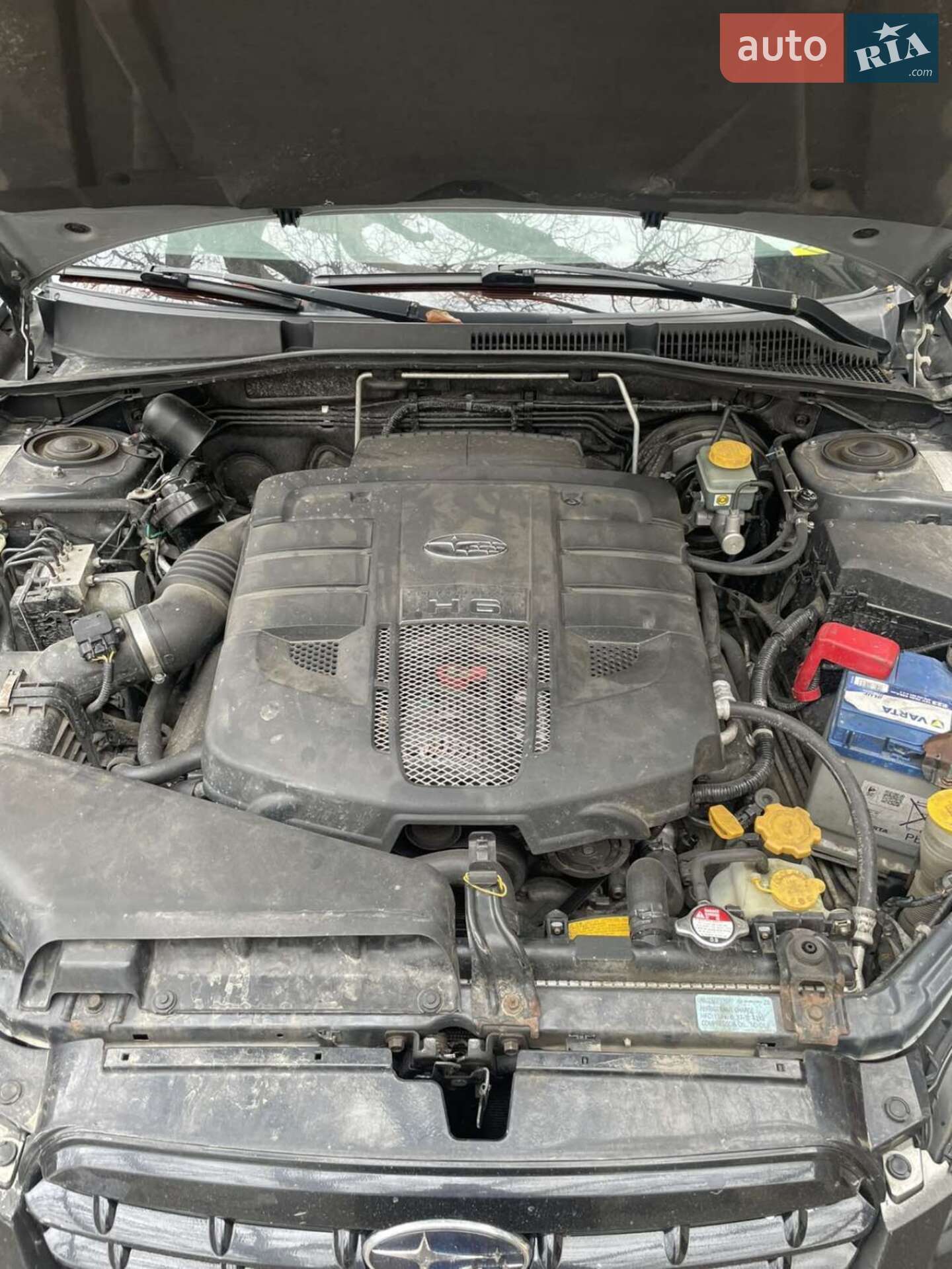 Subaru Outback 2006 VIN JF1BPELUA7G065601 фото оголошення 9 з 11