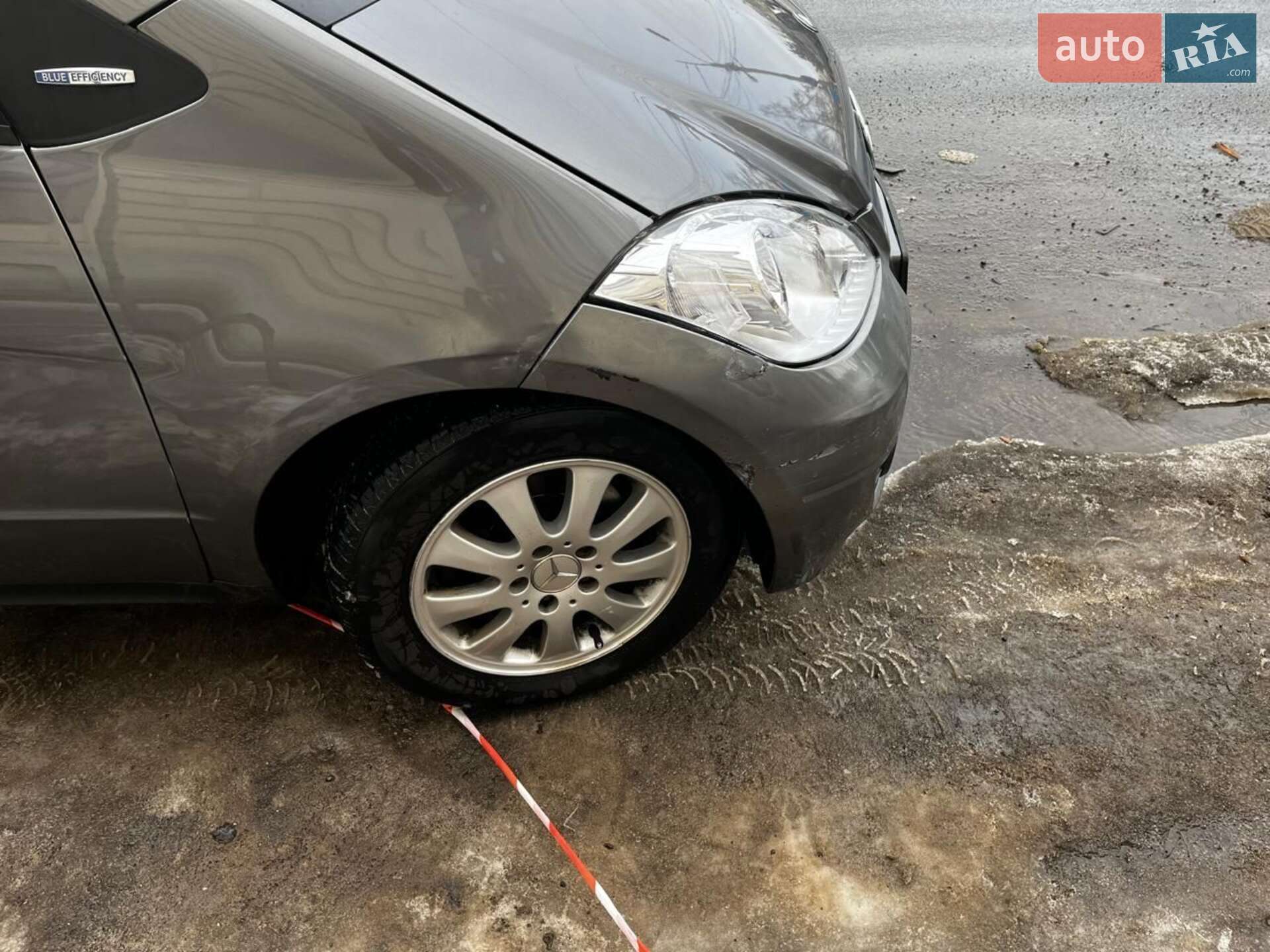 Mercedes-Benz A-Class 2009 VIN WDD1690311J808860 фото оголошення 11 з 11
