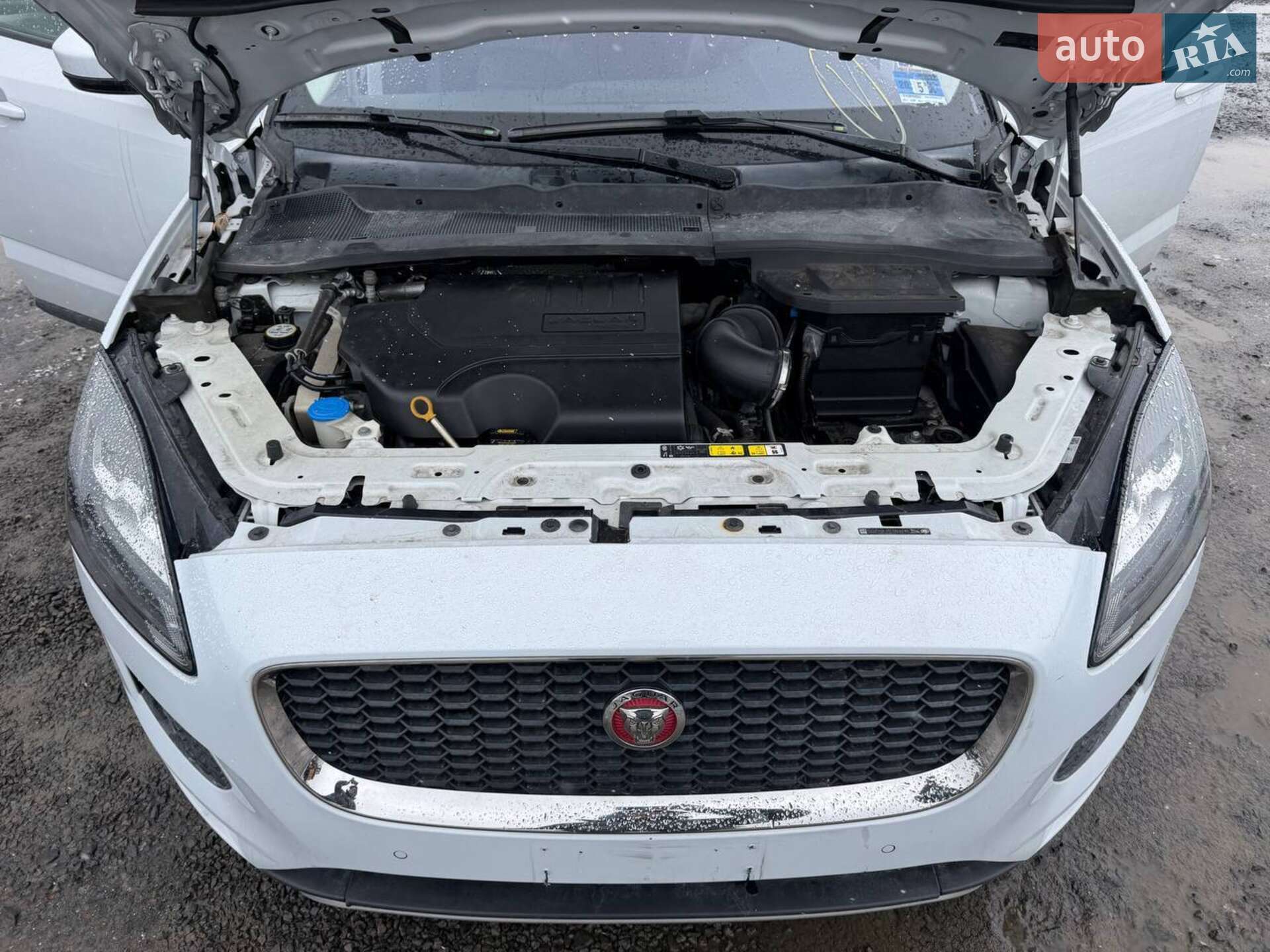 Jaguar E-Pace 2019 VIN SADFP2FX1L1Z76264 фото оголошення 13 з 16
