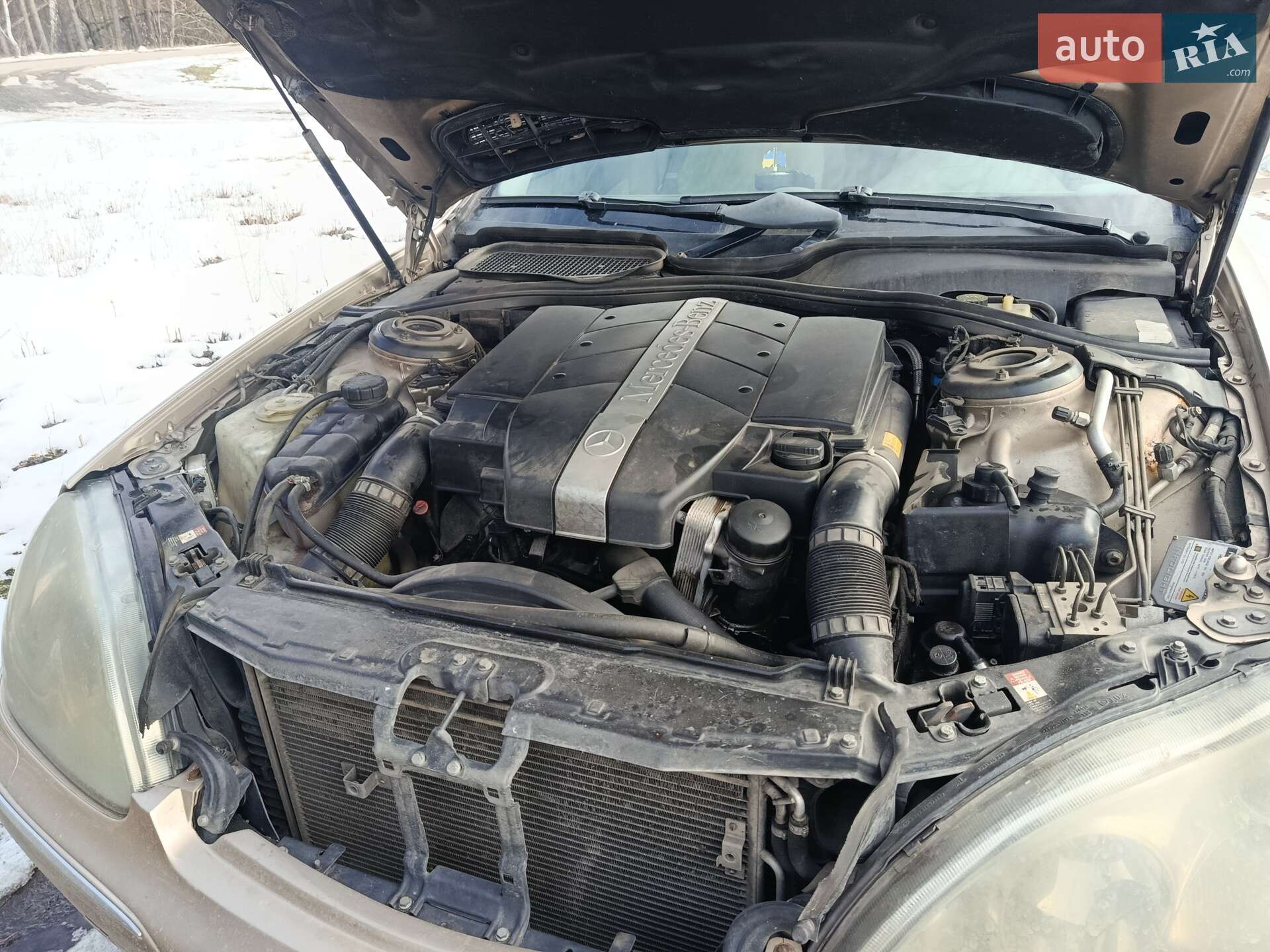 Mercedes-Benz S-Class 2003 VIN WDB2200671A347796 фото оголошення 6 з 11