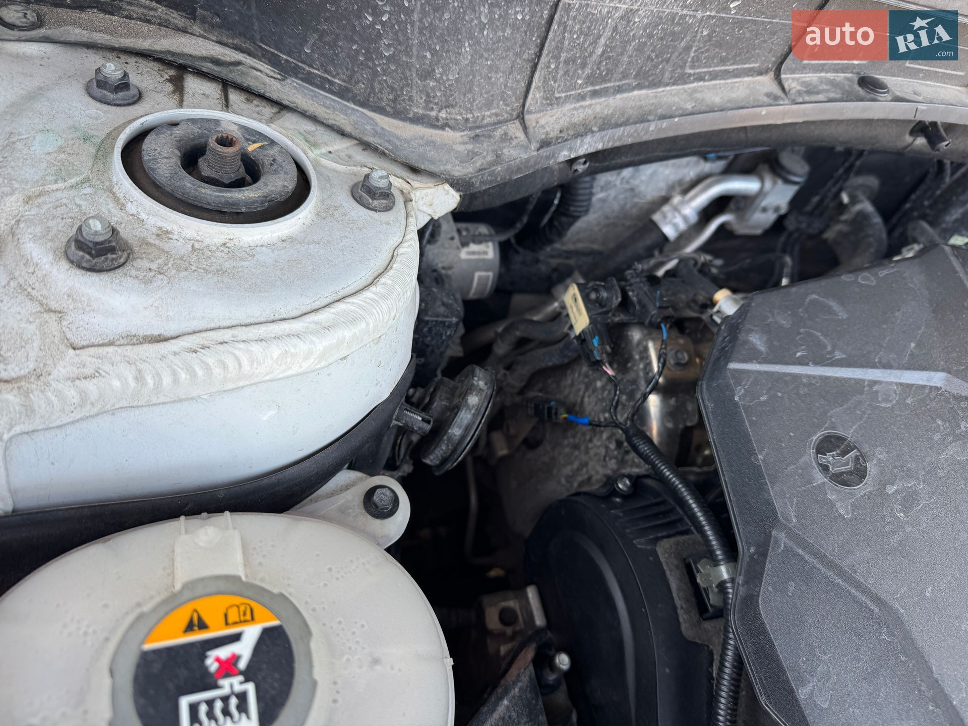 Kia Sorento 2021 VIN KNARH81BGM5086097 фото оголошення 52 з 56