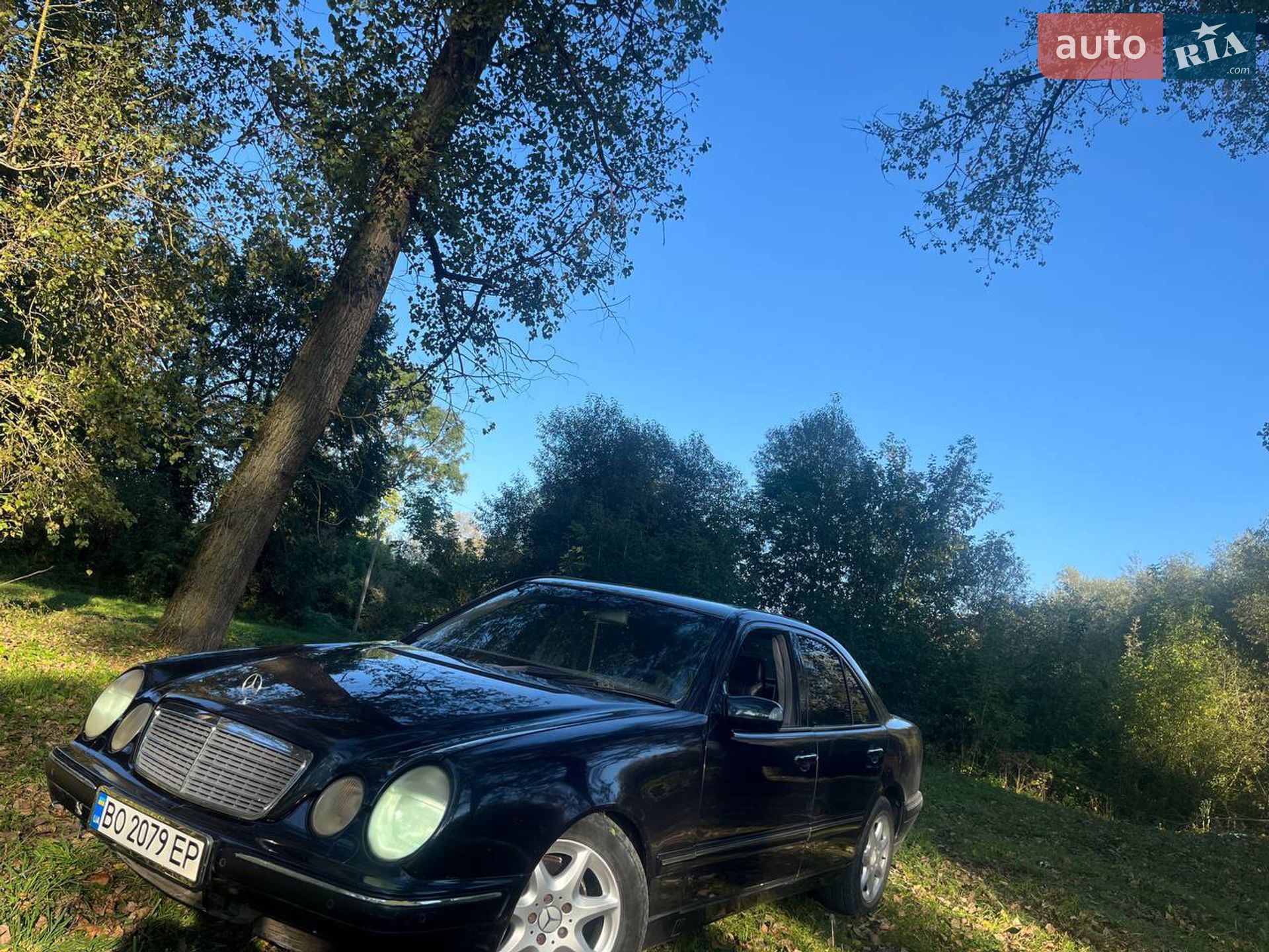 Mercedes-Benz E-Class 2001 VIN WDB2100481B310063 фото оголошення 2 з 4