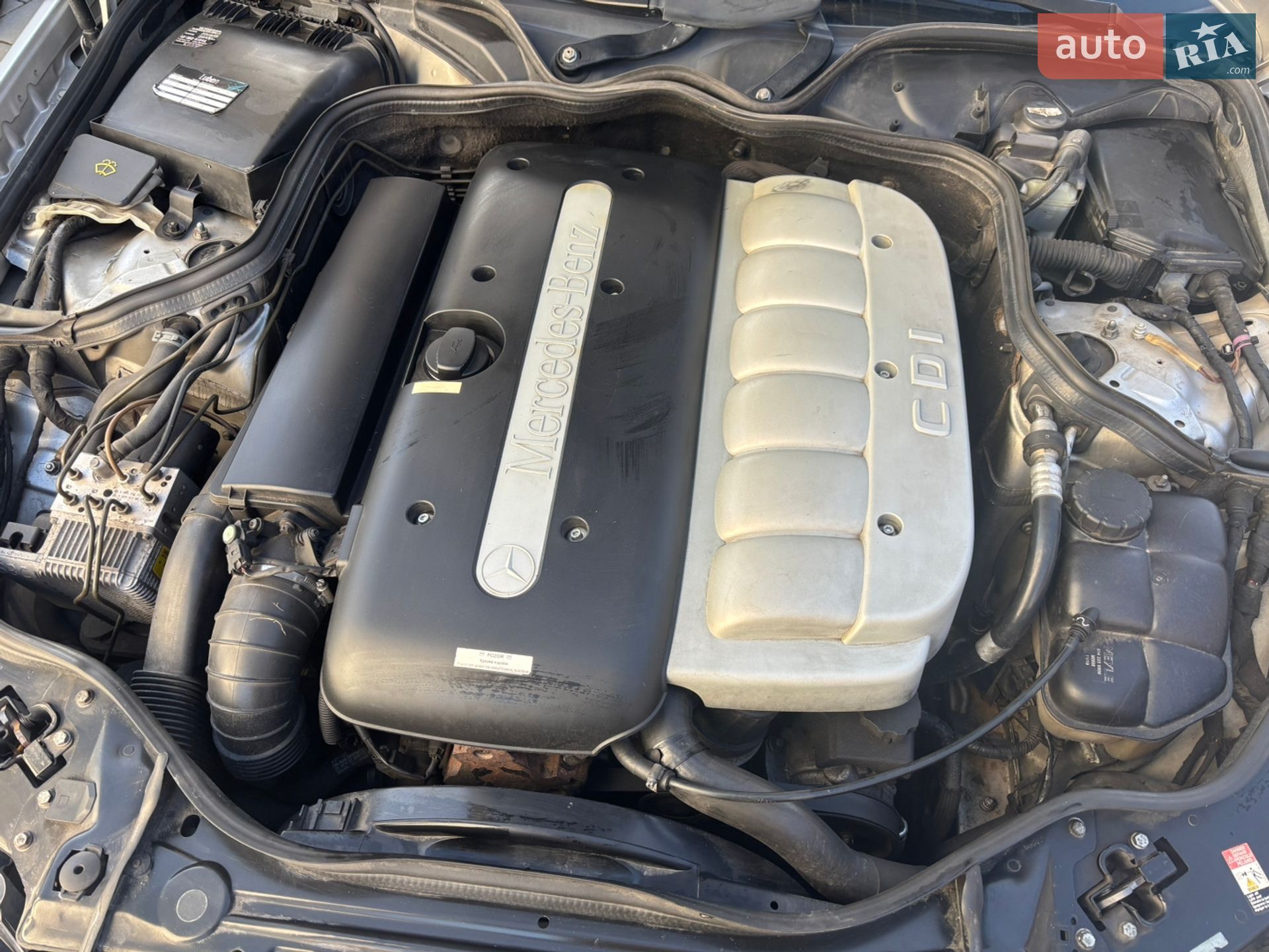 Mercedes-Benz E-Class 2003 VIN WDB2110261A376605 фото оголошення 8 з 21