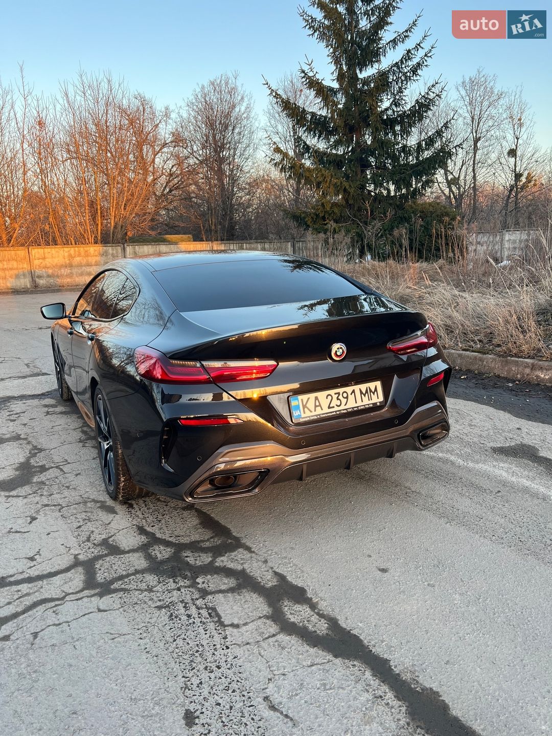 BMW 8 Series Gran Coupe 2020 VIN WBAGW41050CF42681 фото оголошення 37 з 38