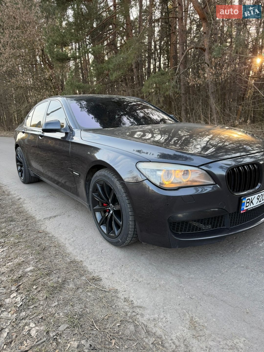 BMW 7 Series 2008 VIN WBAKM21040CY72295 фото оголошення 5 з 18