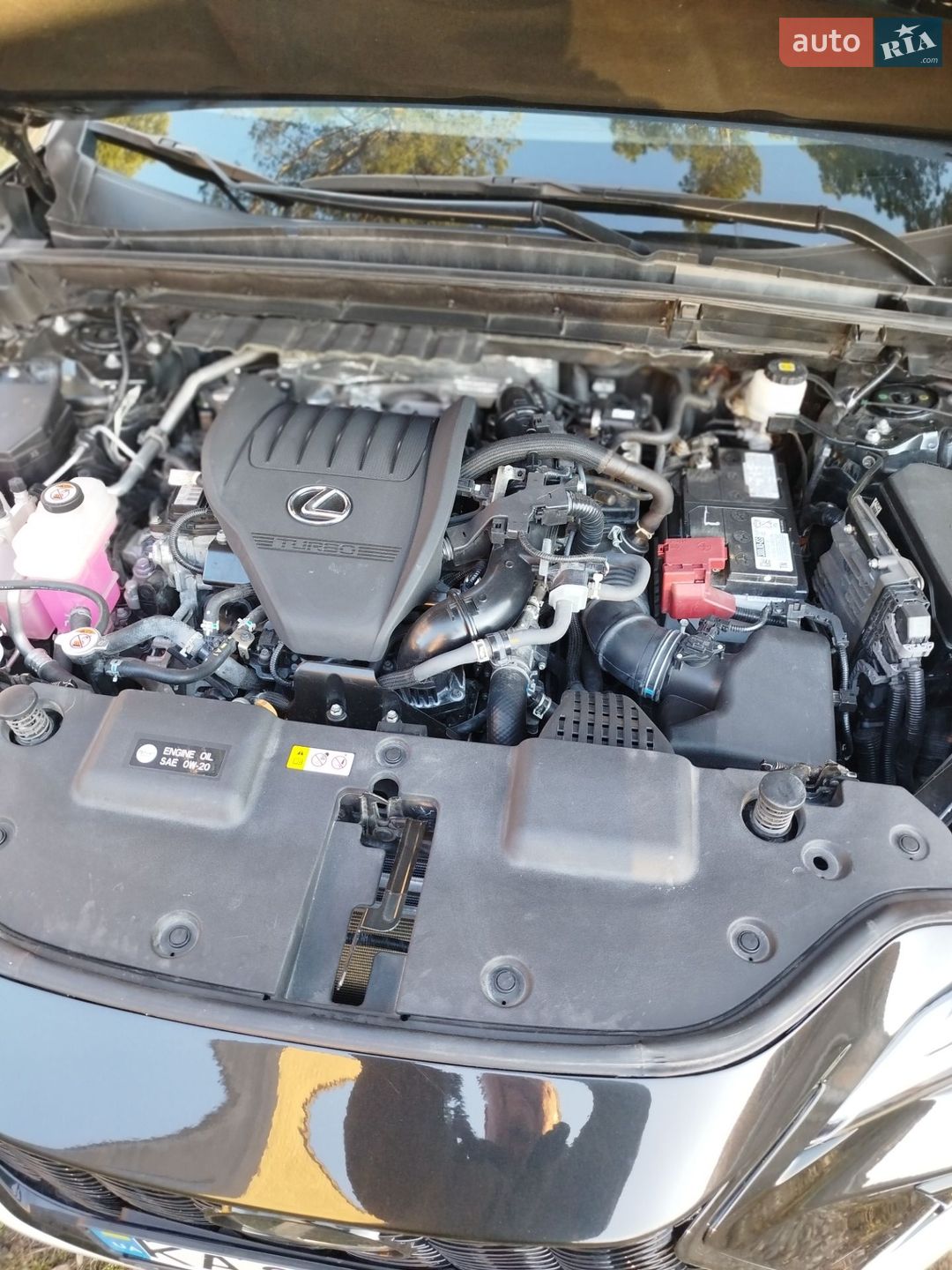 Lexus NX 2023 VIN 2T2GGCEZ4PC026230 фото оголошення 16 з 28