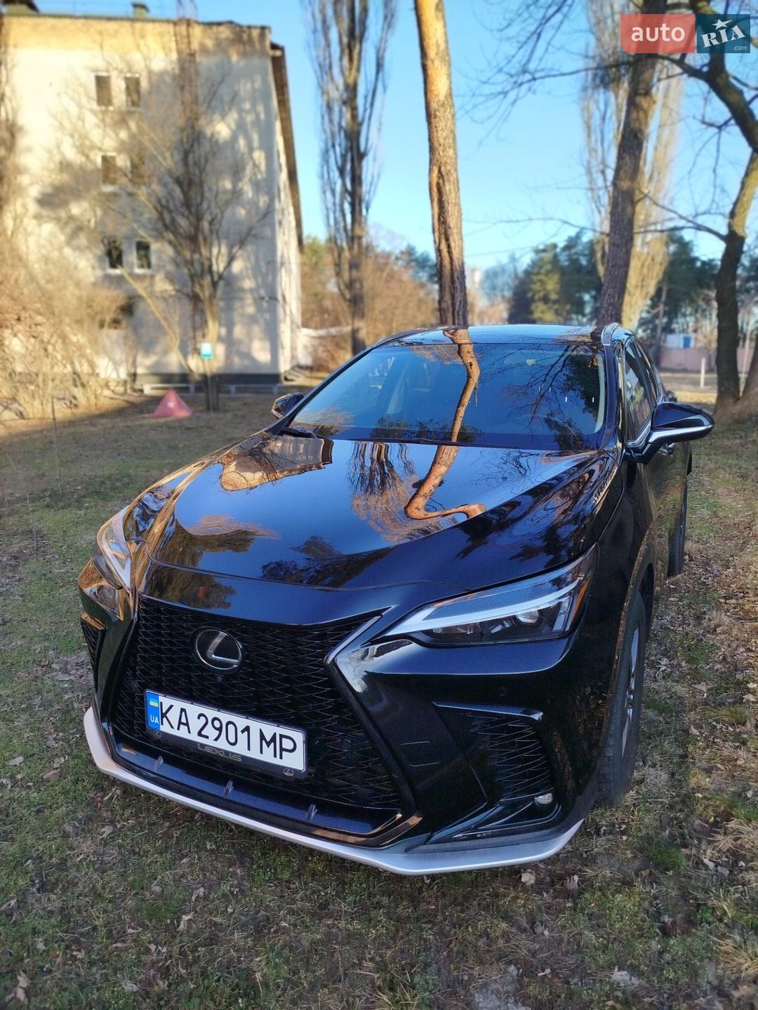 Lexus NX 2023 VIN 2T2GGCEZ4PC026230 фото оголошення 25 з 28