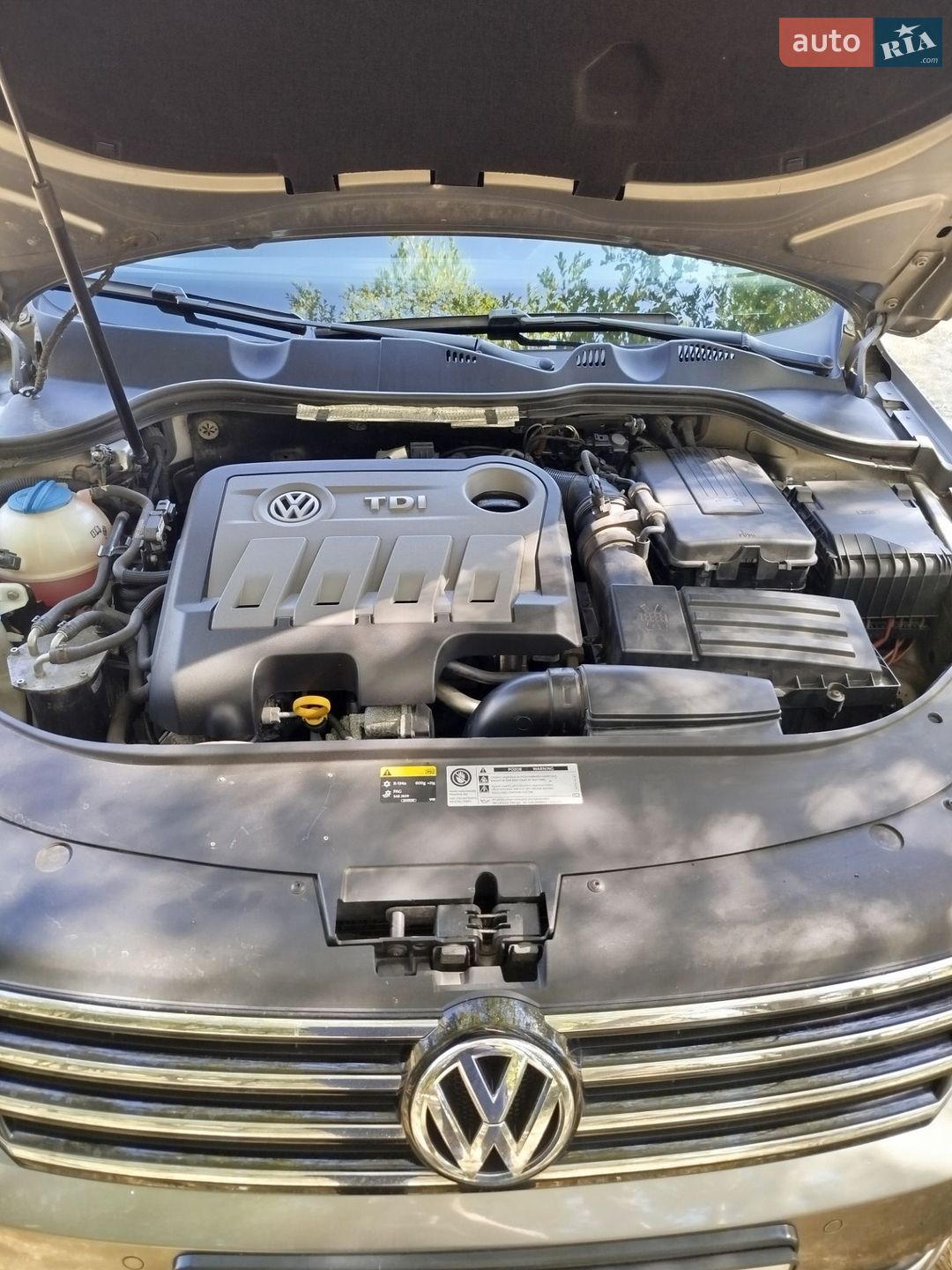 Volkswagen Passat 2013 VIN WVWZZZ3CZEP012517 фото оголошення 24 з 53