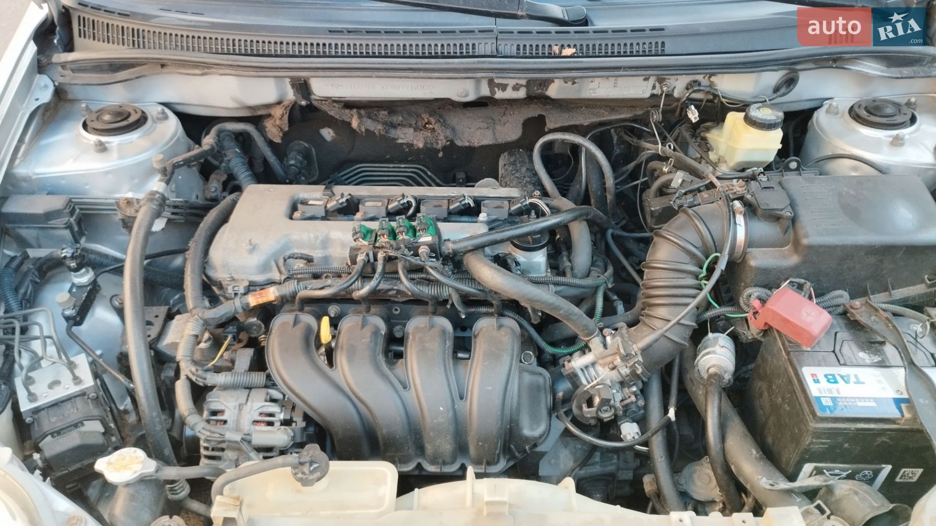 Toyota Corolla 2004 VIN NMTBZ28EX0R075052 фото оголошення 18 з 19