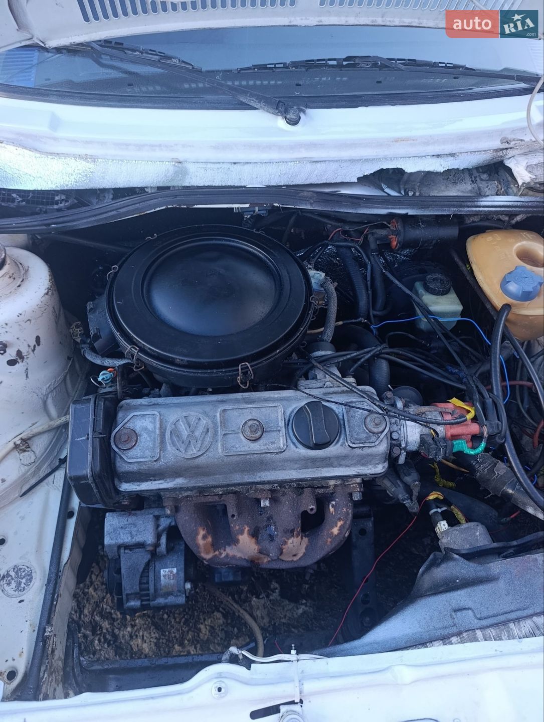 Volkswagen Golf 1986 VIN WVWZZZ19ZGW325976 фото оголошення 22 з 38