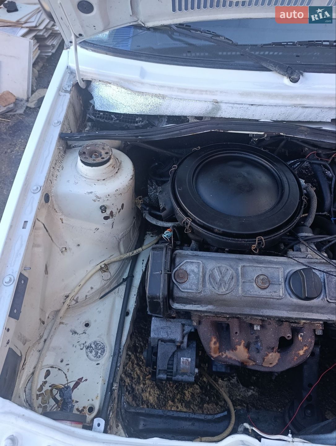 Volkswagen Golf 1986 VIN WVWZZZ19ZGW325976 фото оголошення 24 з 38