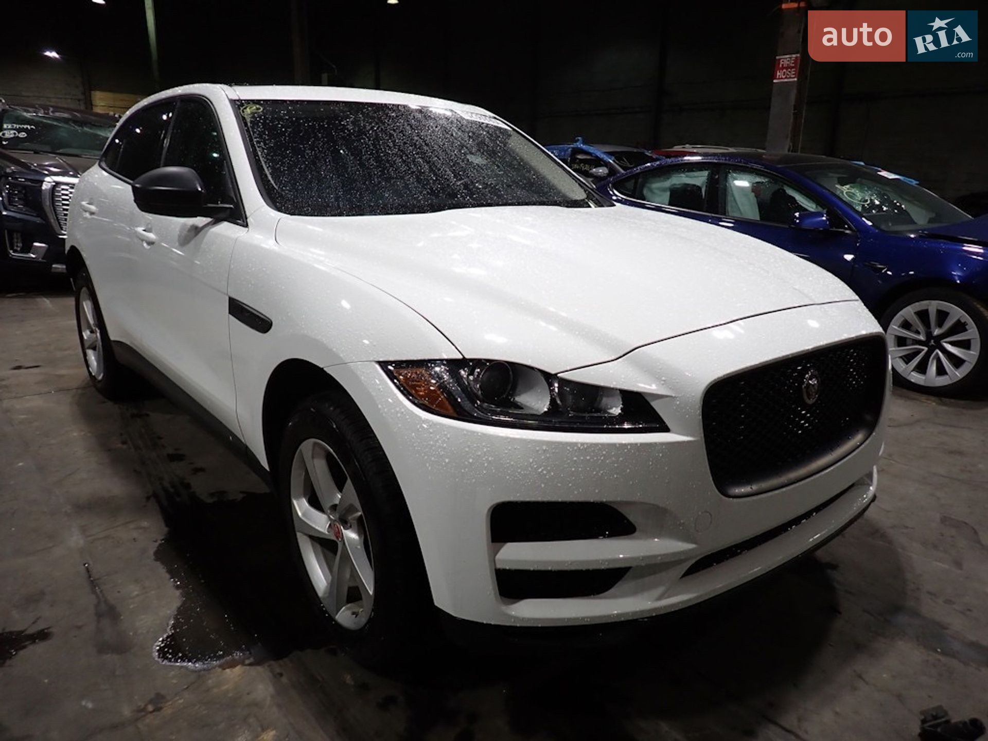 Jaguar F-Pace 2016 VIN SADCJ2BN8HA085484 фото оголошення 2 з 12