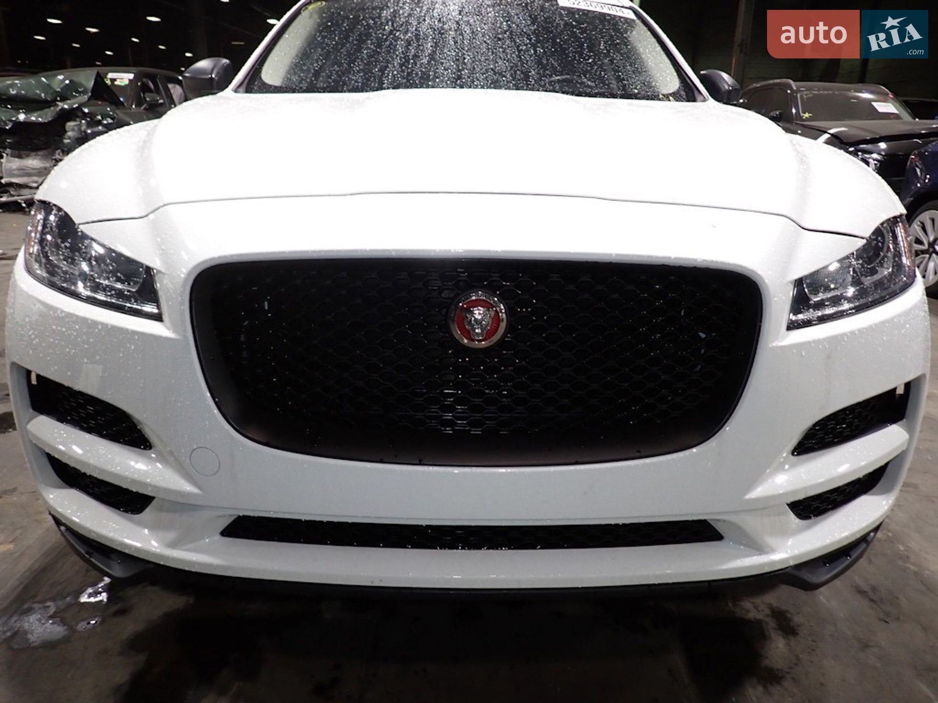 Jaguar F-Pace 2016 VIN SADCJ2BN8HA085484 фото оголошення 11 з 12