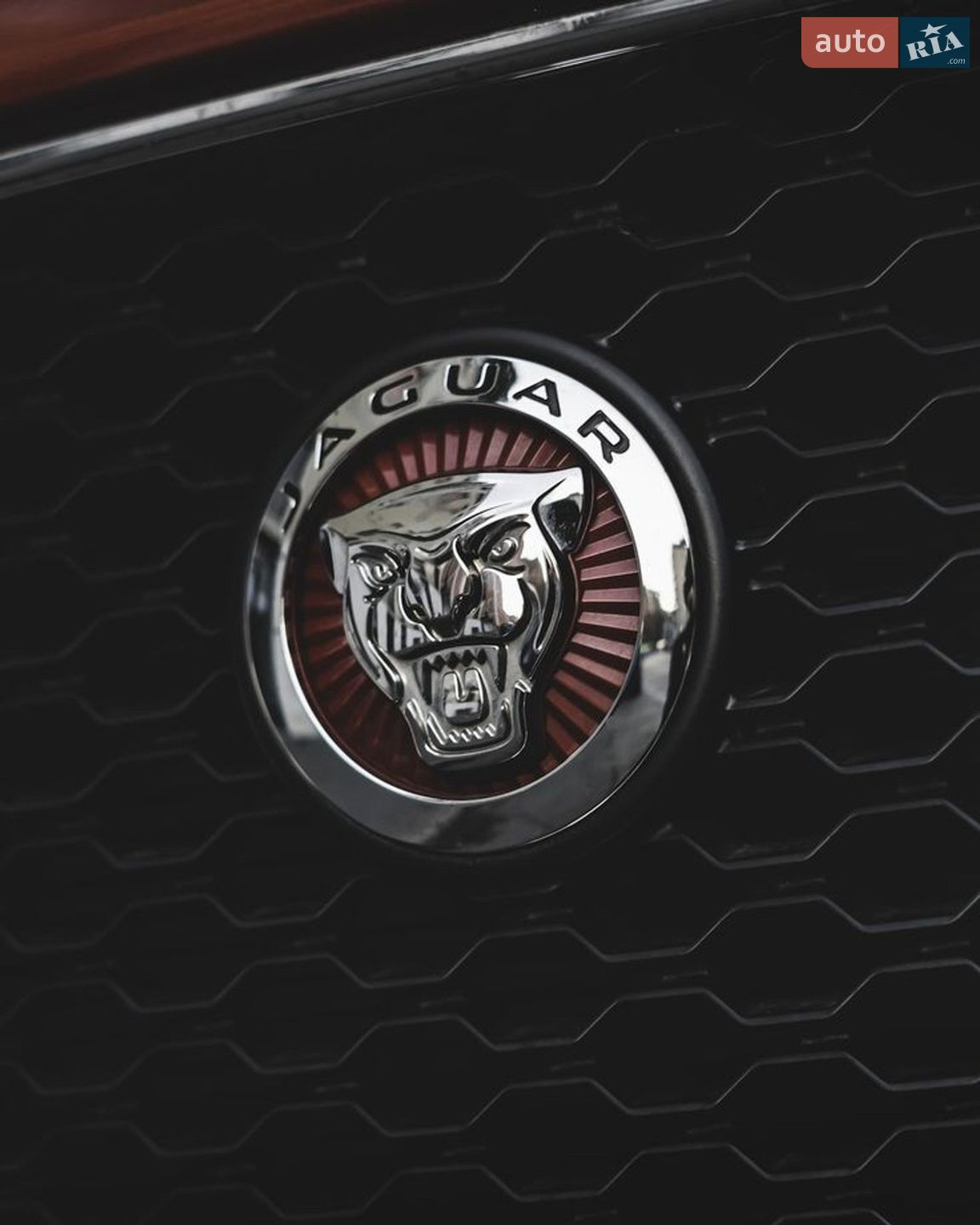 Jaguar F-Pace 2016 VIN SADCJ2BN8HA085484 фото оголошення 12 з 12