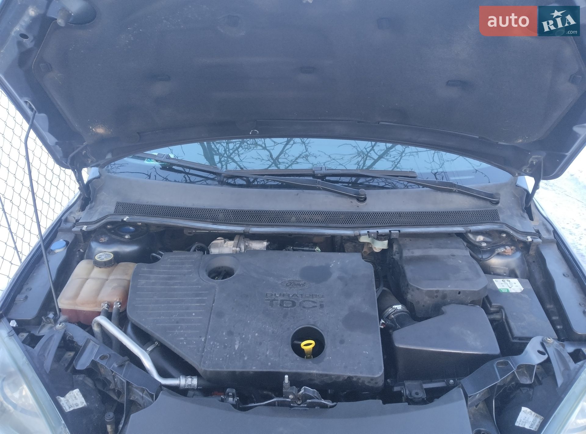 Ford Focus 2006 VIN WF0WXXGCDW6M46477 фото оголошення 19 з 22