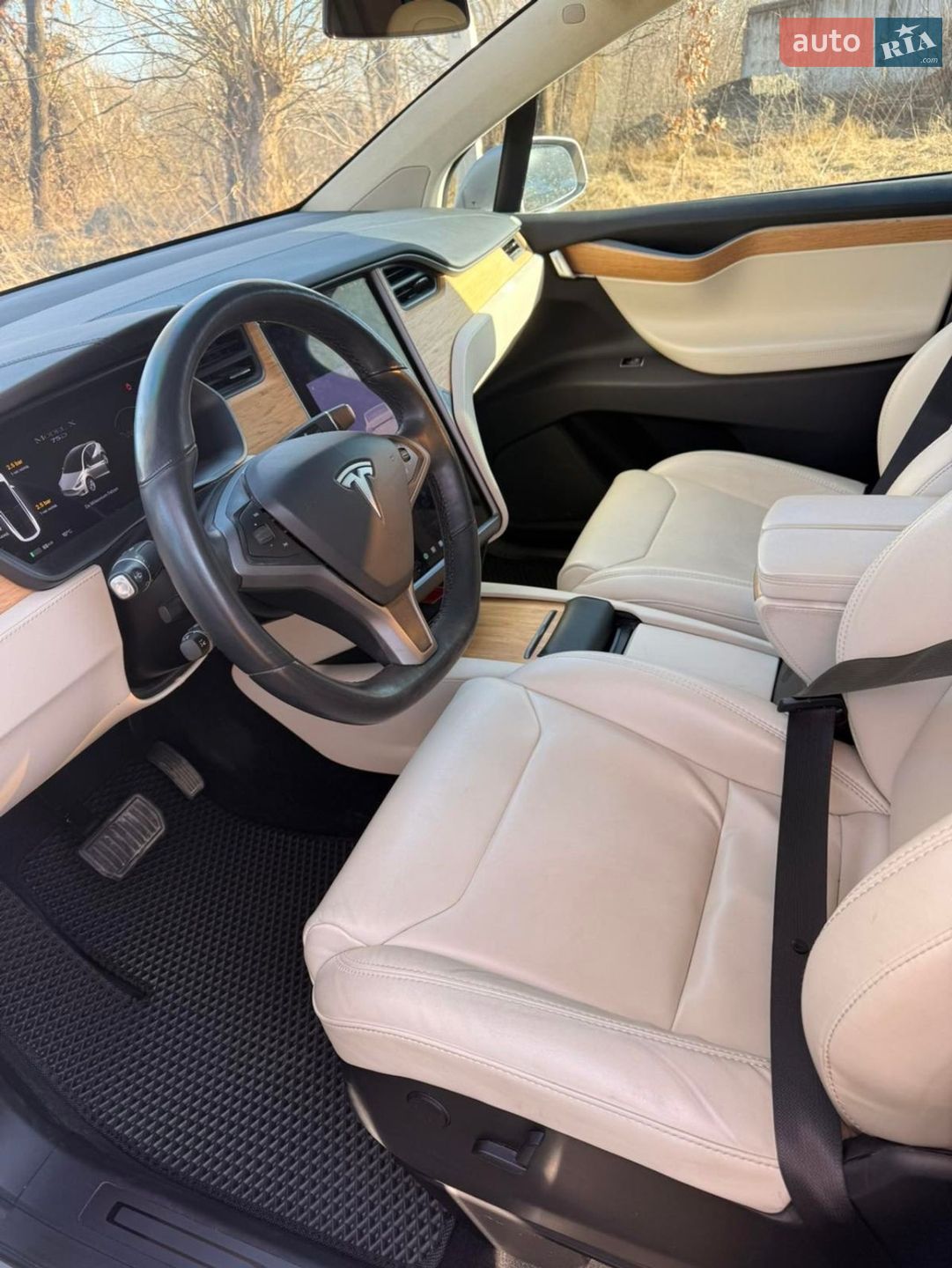 Tesla Model X 2018 VIN 5YJXCBE21JF113146 фото оголошення 6 з 19