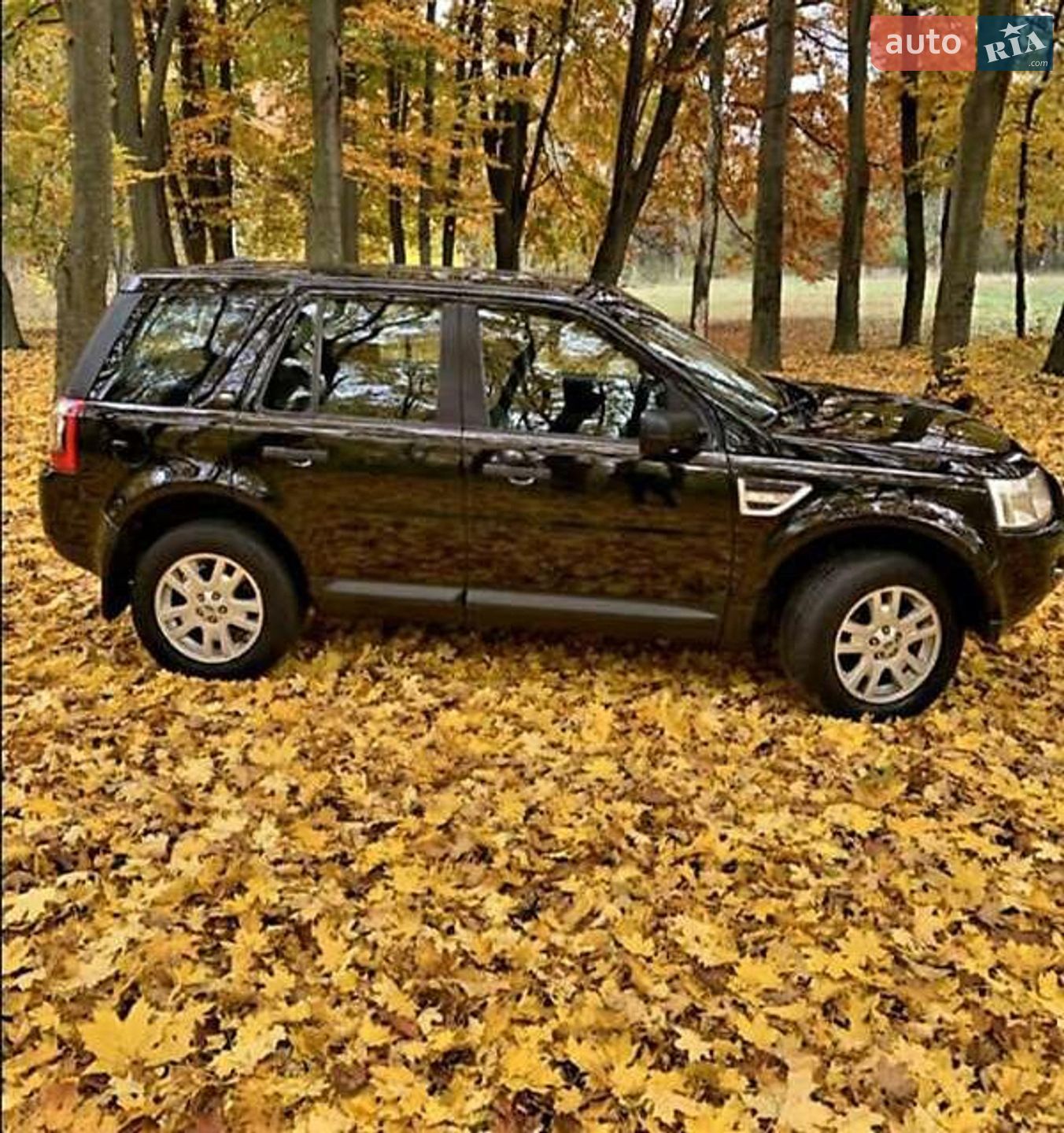 Land Rover Freelander 2009 VIN SALFA28B99H118905 фото оголошення 9 з 14