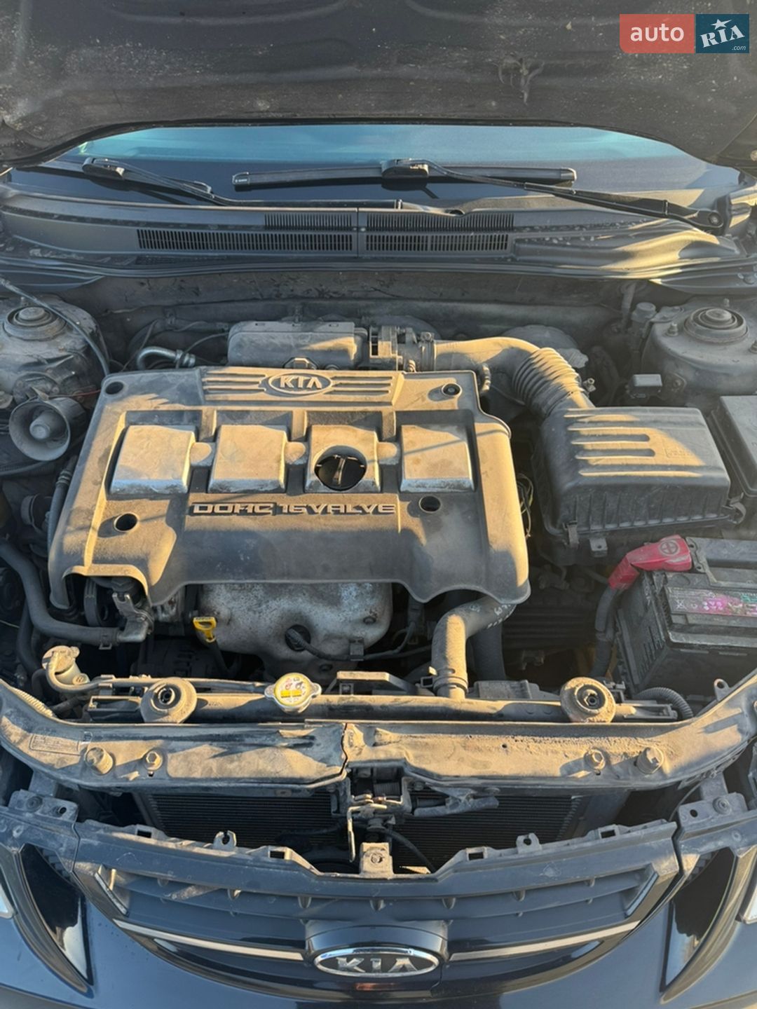 KIA Cerato 2006 VIN Y6LFE22226L000603 фото оголошення 4 з 5