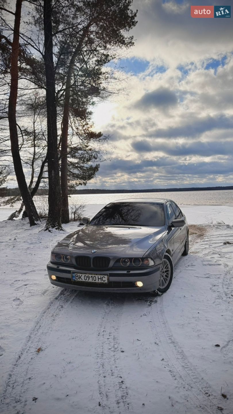 BMW 5 Series 2003 VIN WBADL810X0GX63167 фото оголошення 2 з 23