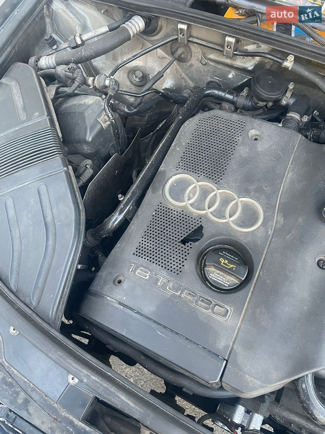 Audi A4 2004 VIN WAUZZZ8E44A275109 фото оголошення 11 з 20