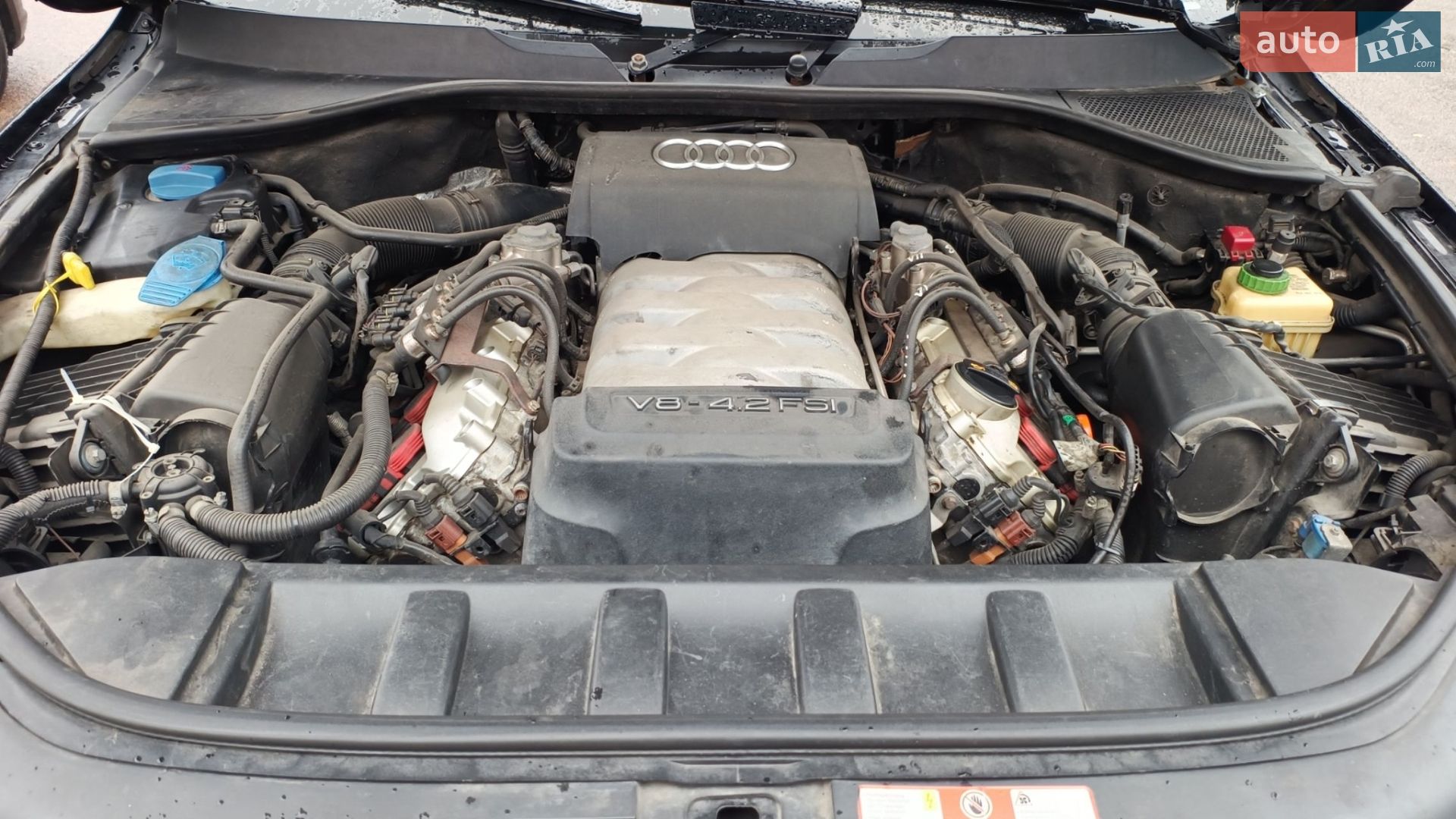 Audi Q7 2008 VIN WA1EV74L08D021353 фото оголошення 8 з 12