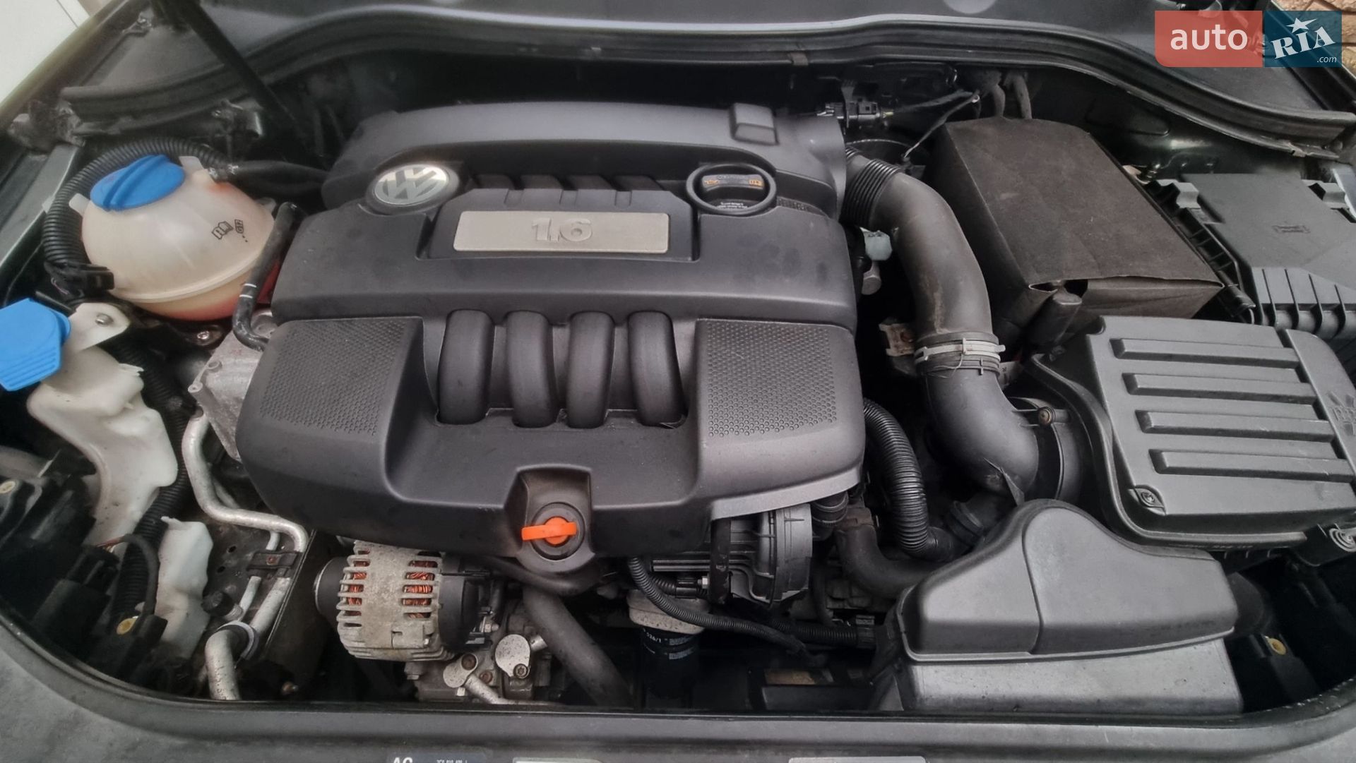 Volkswagen Passat 2007 VIN WVWZZZ3CZ7P153793 фото оголошення 65 з 67