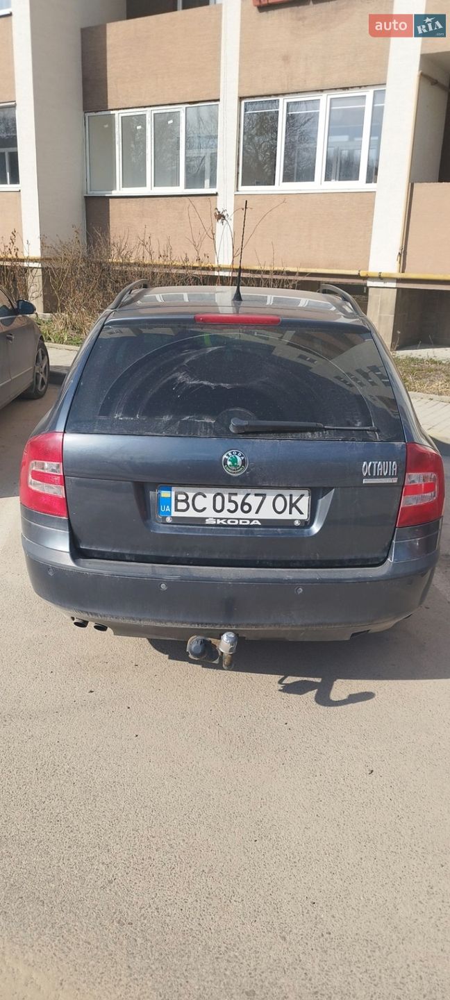 Skoda Octavia 2008 VIN TMBGK61Z182173826 фото оголошення 11 з 11