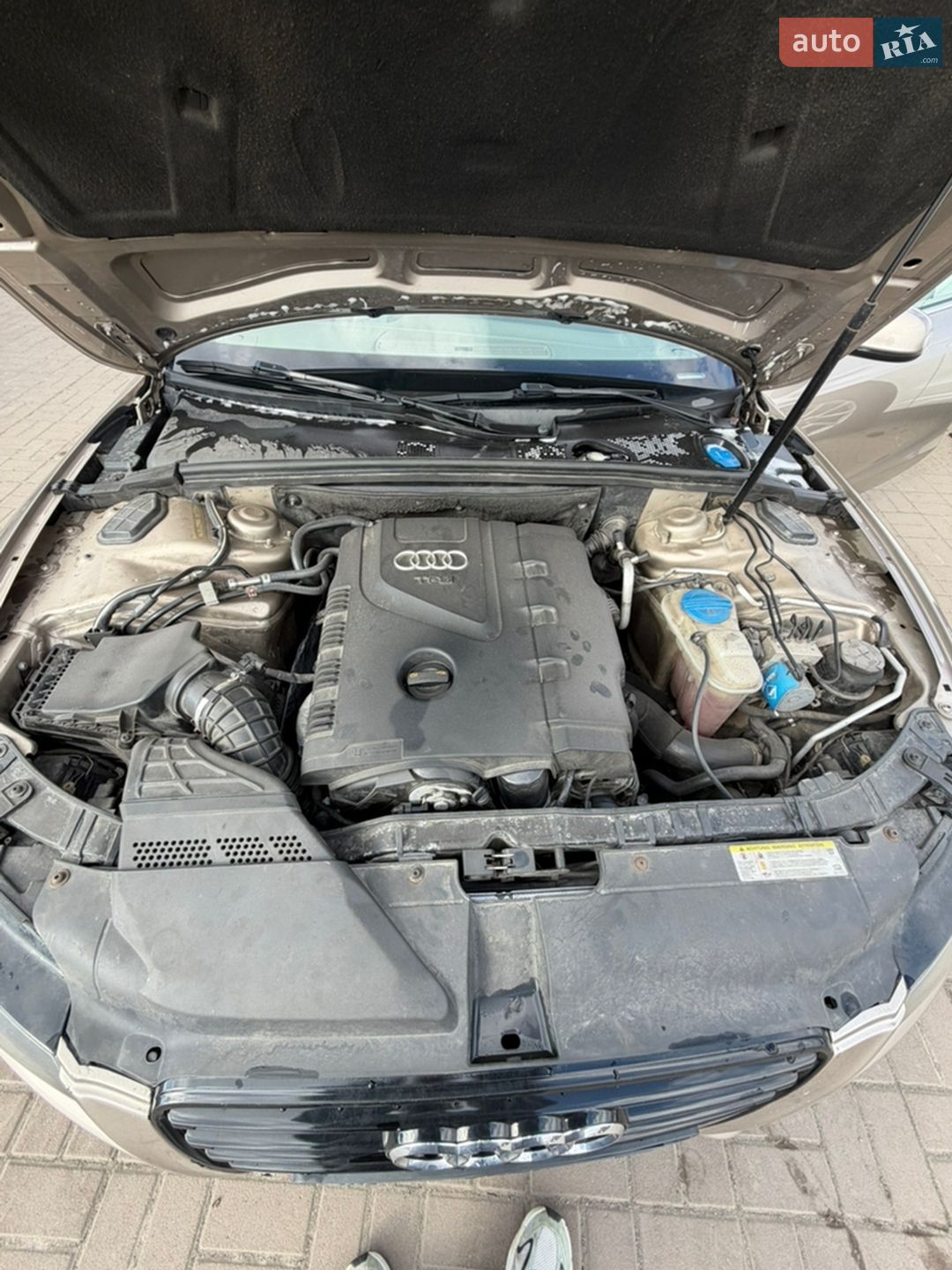 Audi A5 2010 VIN WAULFAFH3AN021957 фото оголошення 33 з 37