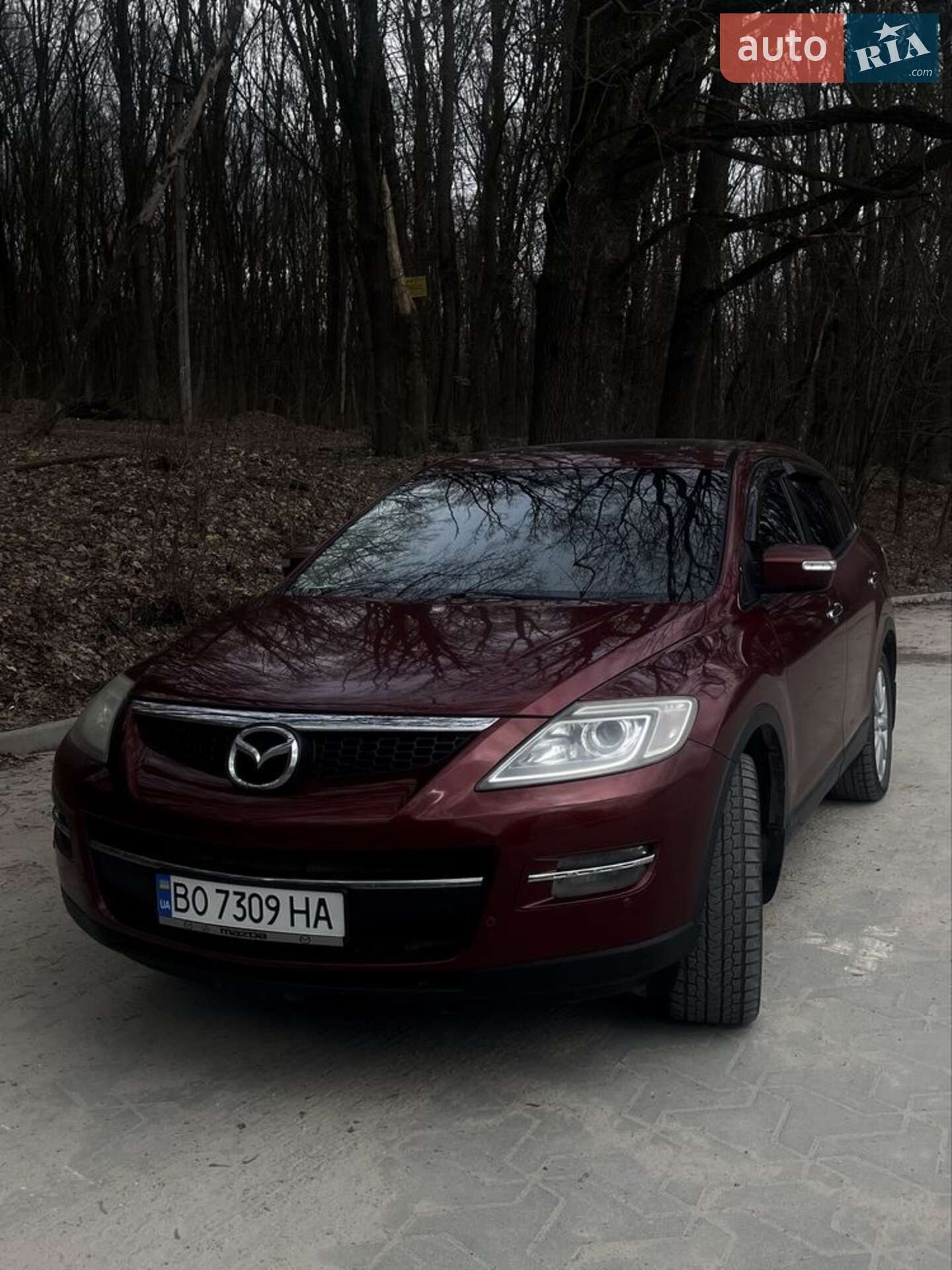 Mazda CX-9 2007 VIN JM3TB38C770110794 фото оголошення 8 з 8