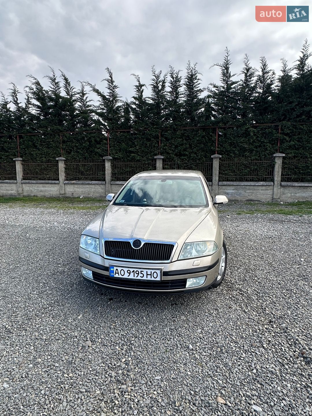 Skoda Octavia 2005 VIN TMBBB61Z862151894 фото оголошення 35 з 35