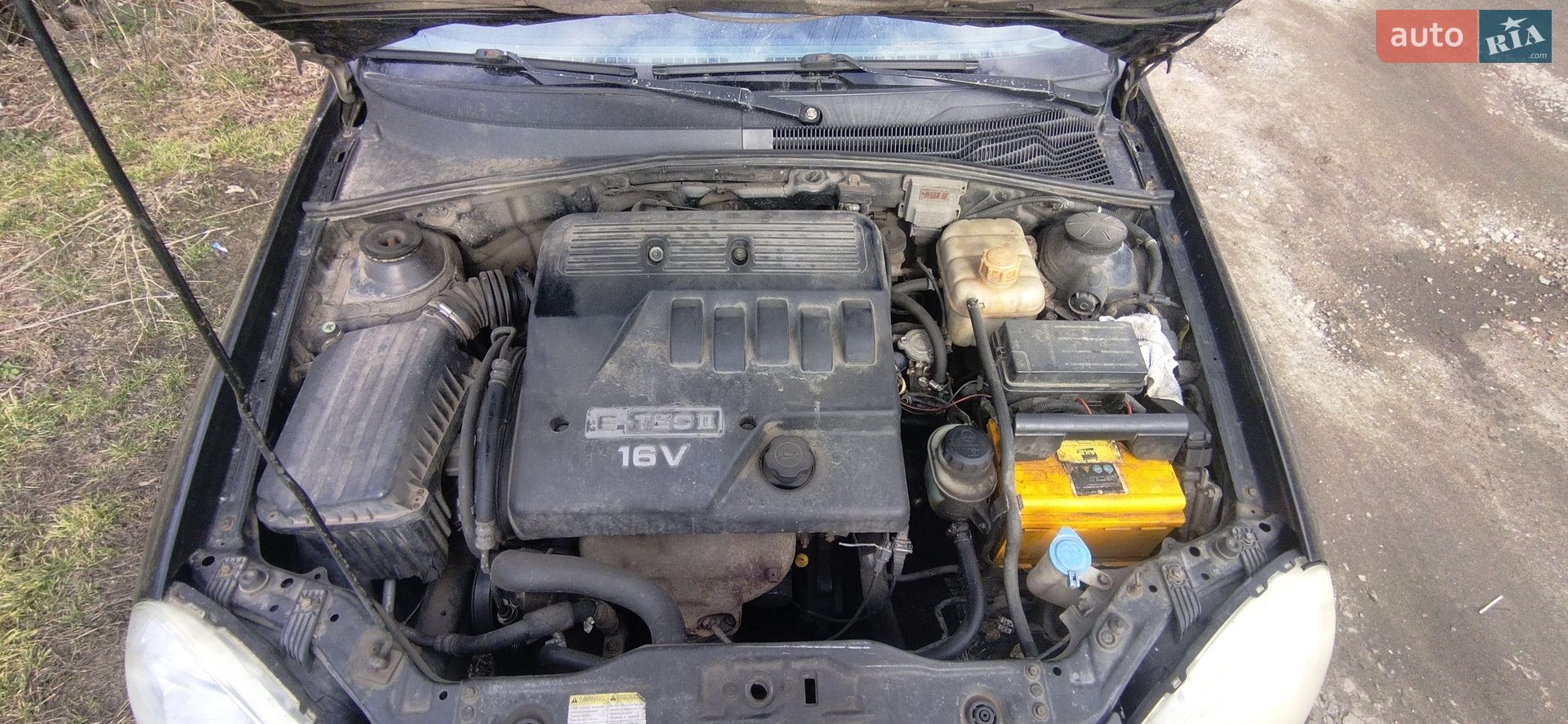 Chevrolet Lacetti 2005 VIN Y6DNF196E6K278838 фото оголошення 6 з 11