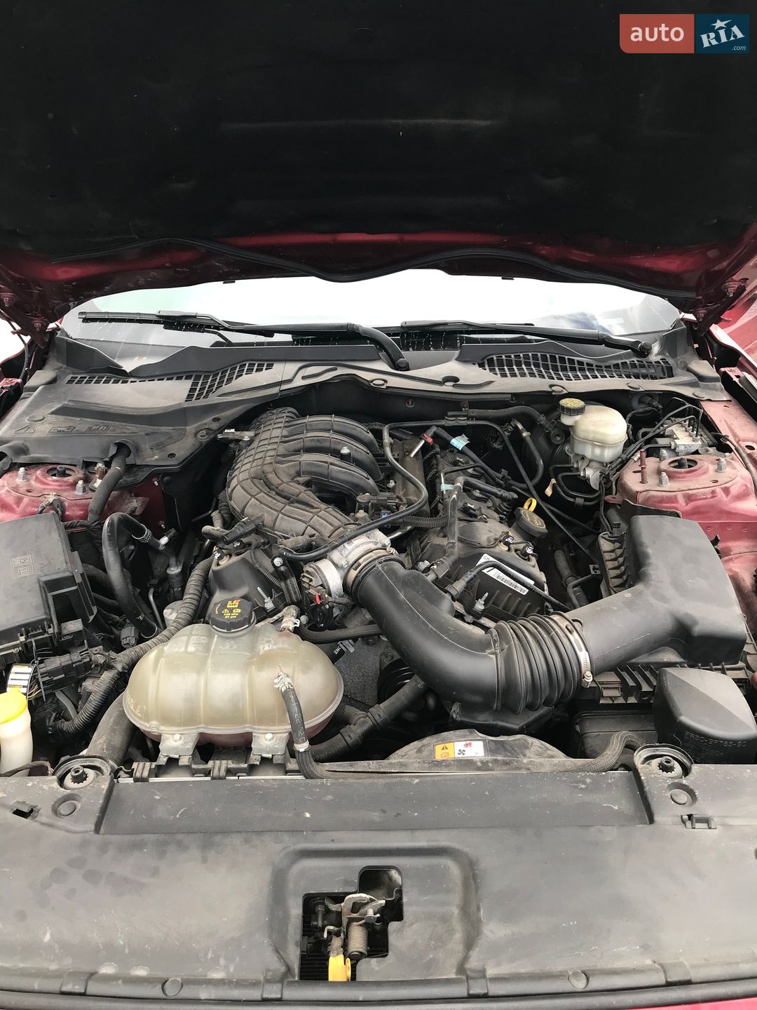Ford Mustang 2017 VIN 1FA6P8AM4H5300702 фото оголошення 10 з 15
