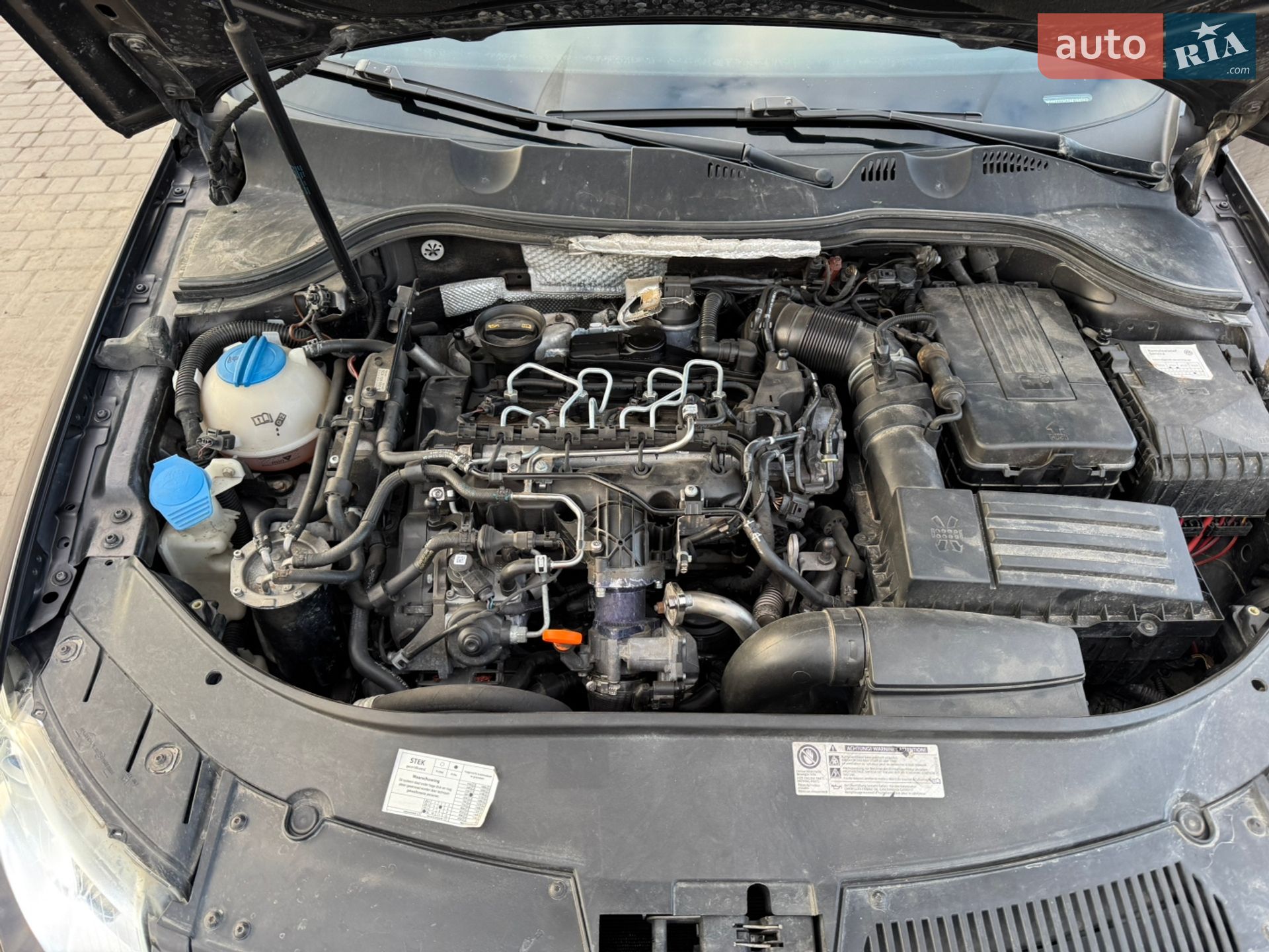 Volkswagen Passat 2010 VIN WVWZZZ3CZAE150742 фото оголошення 46 з 53