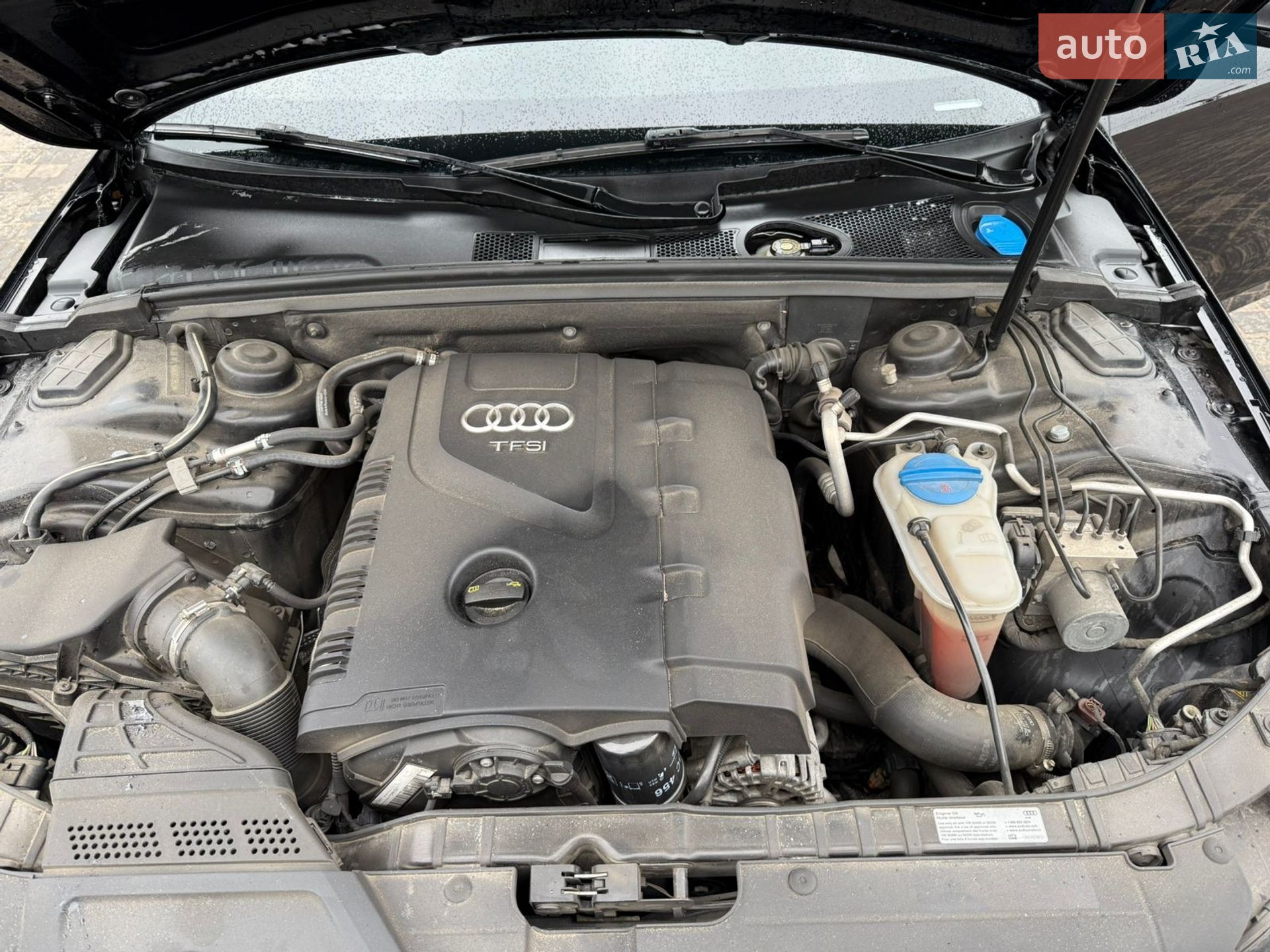 Audi A4 2015 VIN WAUBFAFL1GN004969 фото оголошення 14 з 16