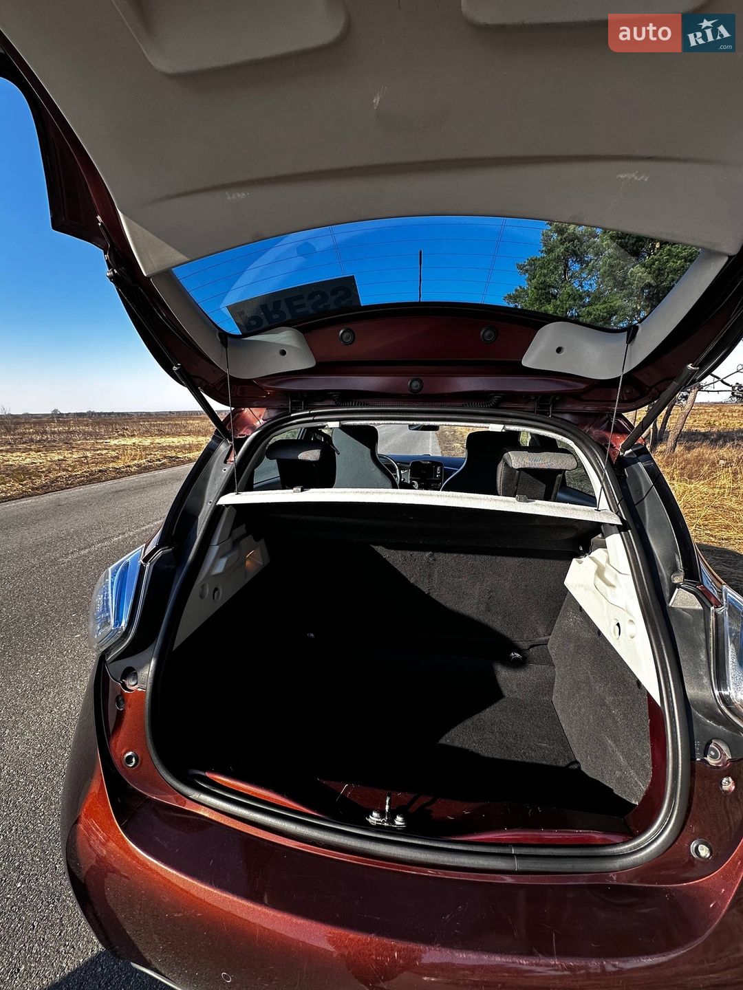 Renault Zoe 2014 VIN VF1AGVYA051743179 фото оголошення 6 з 6