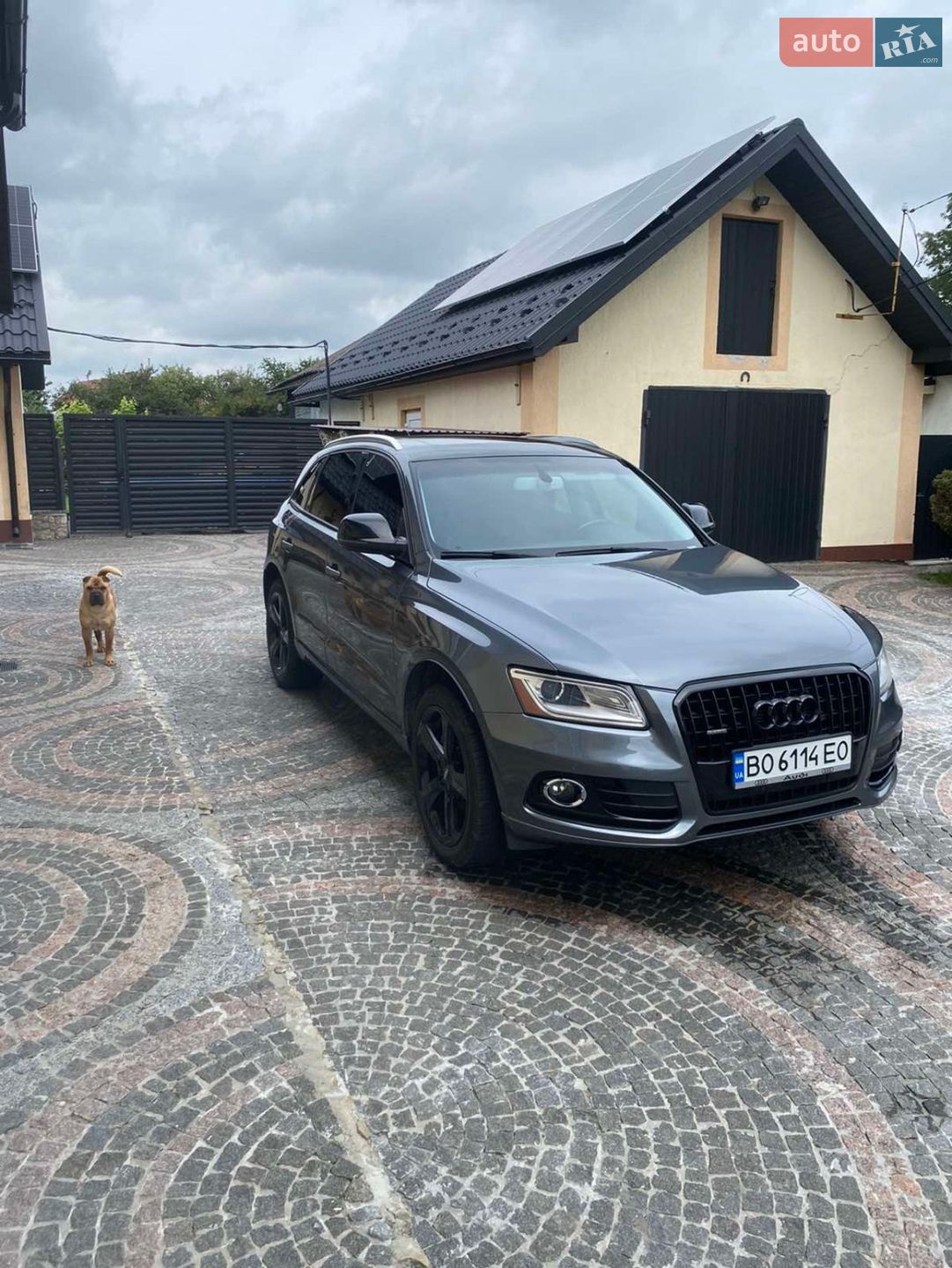 Audi Q5 2014 VIN WA1CMAFP4EA116695 фото оголошення 13 з 13