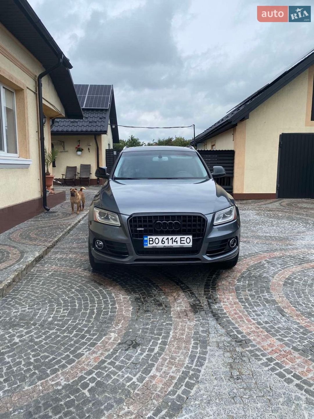 Audi Q5 2014 VIN WA1CMAFP4EA116695 фото оголошення 12 з 13