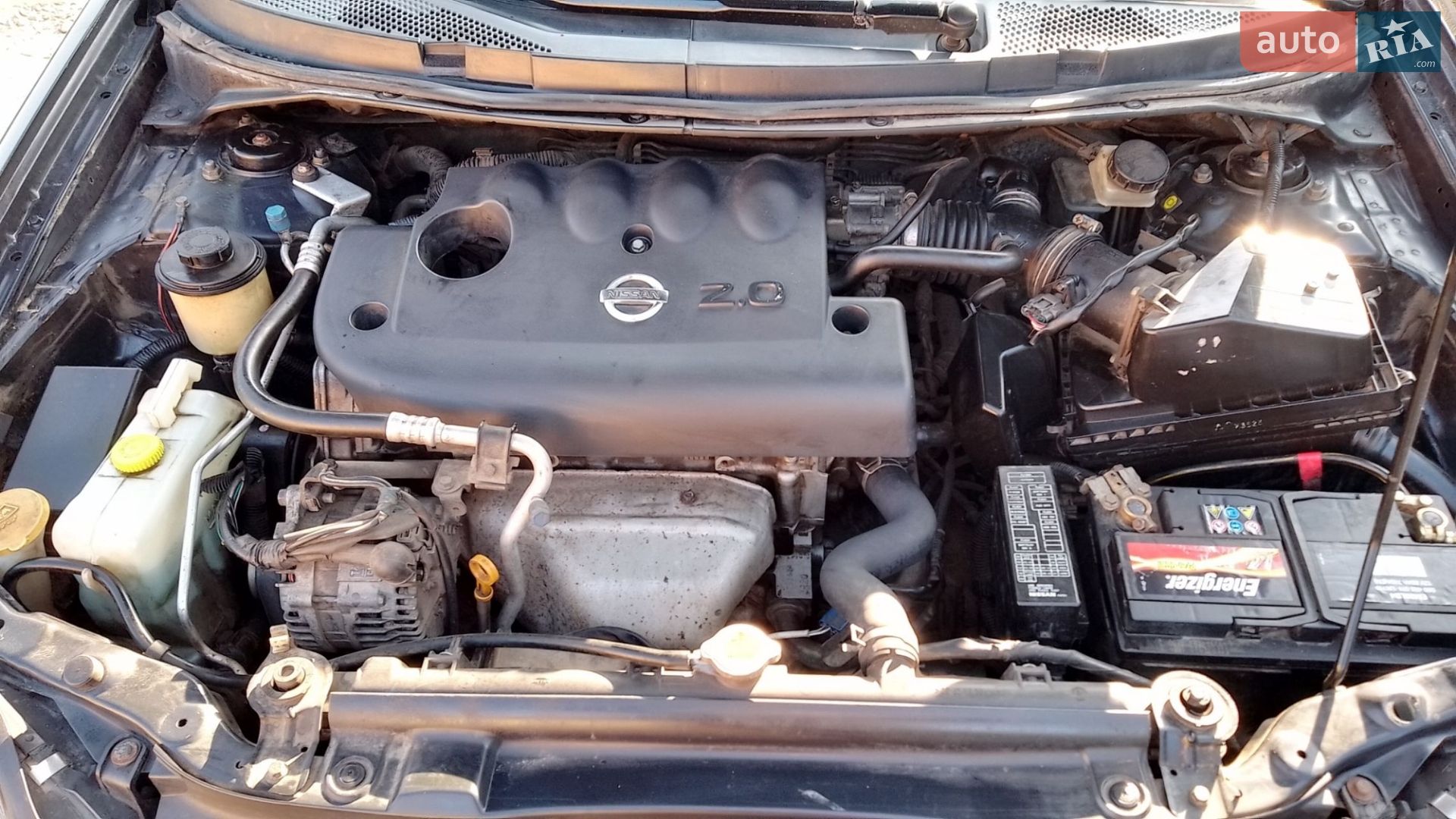 Nissan Primera 2004 VIN SJNBCAP12U0153717 фото оголошення 2 з 10
