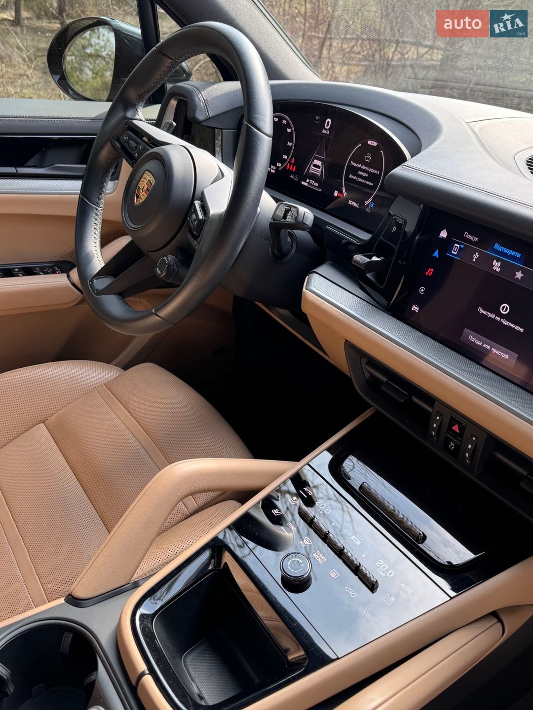 Porsche Cayenne 2023 VIN WP1AA2AY9RDA07583 фото оголошення 30 з 33