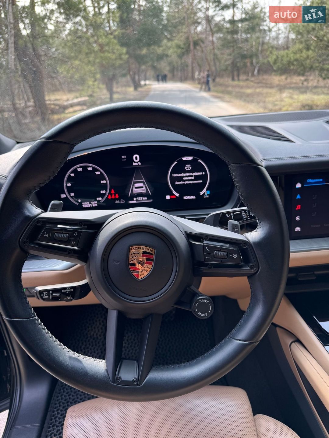Porsche Cayenne 2023 VIN WP1AA2AY9RDA07583 фото оголошення 31 з 33