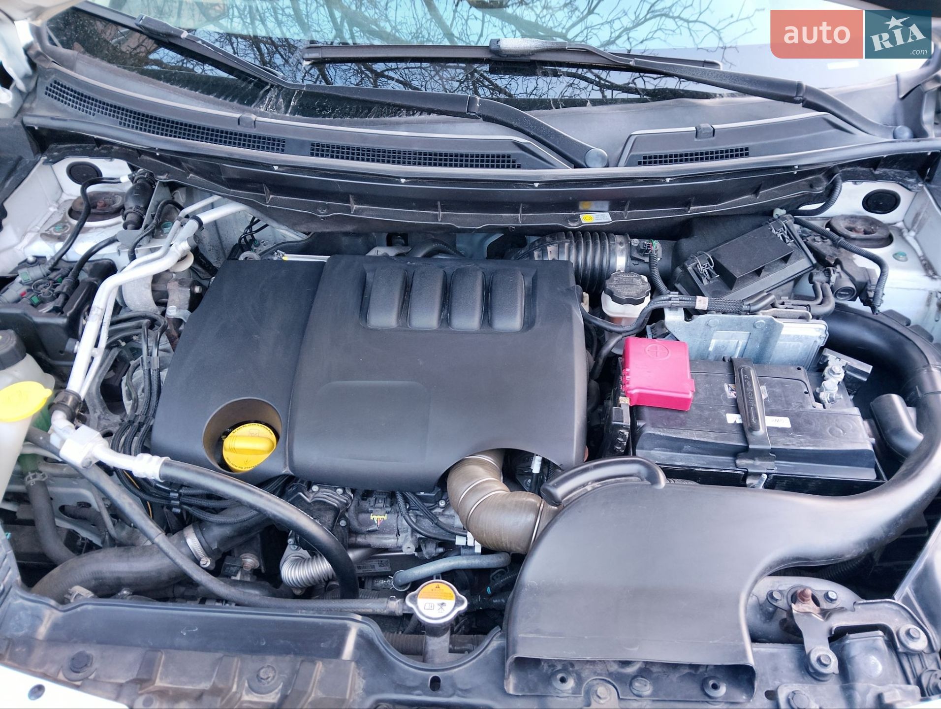 Renault Koleos 2013 VIN VF1VY5WGNUC477331 фото оголошення 49 з 53