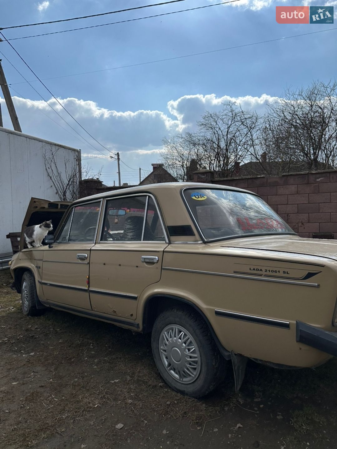 ВАЗ / Lada 2106 1993 VIN XTA210610P2900466 фото оголошення 4 з 19