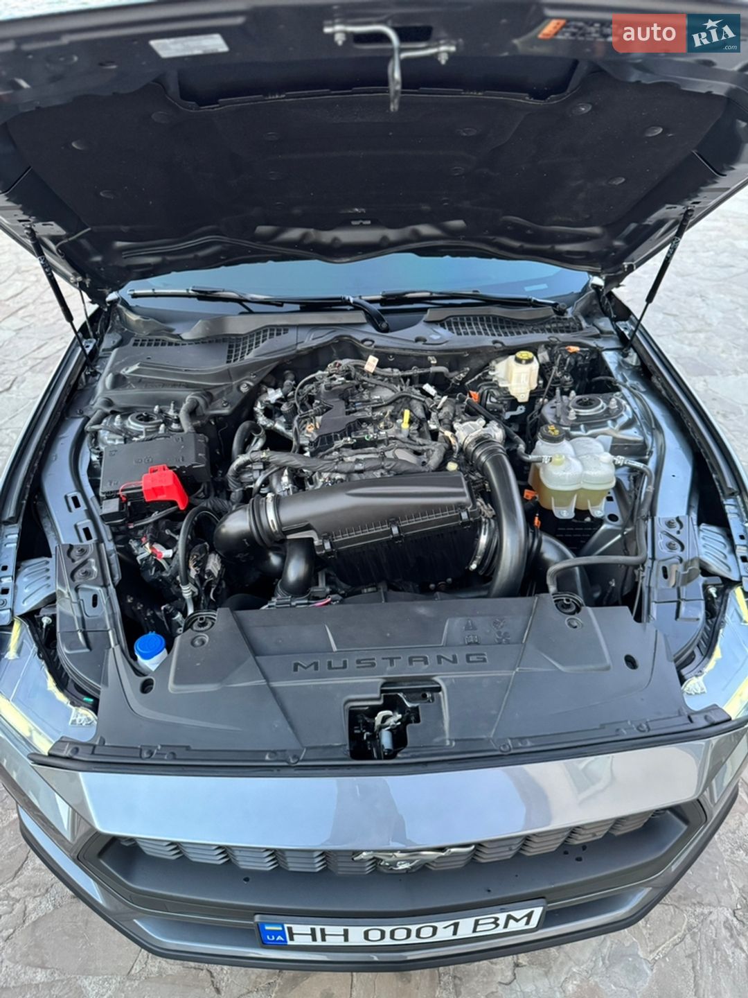 Ford Mustang 2025 VIN 1FA6P8TH7S5129502 фото оголошення 49 з 49