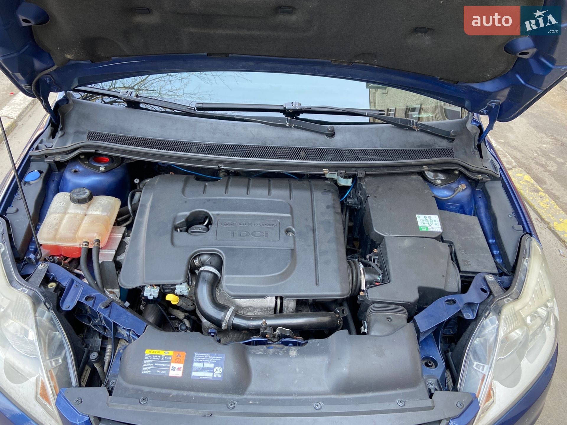 Ford Focus 2008 VIN WF0SXXGCDS8K14756 фото оголошення 19 з 20