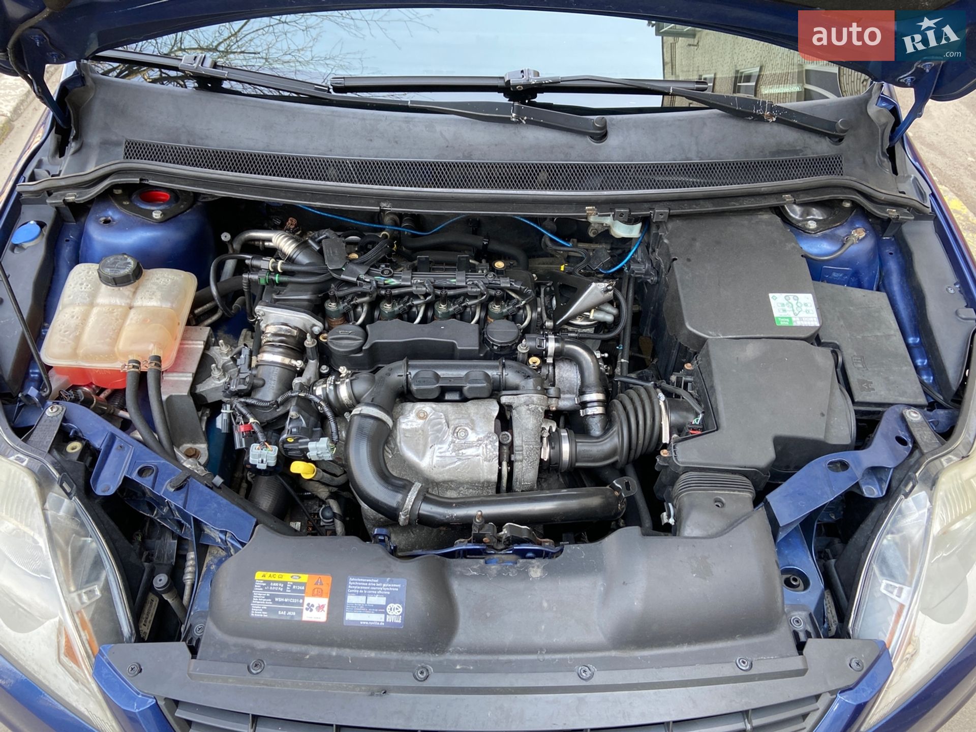 Ford Focus 2008 VIN WF0SXXGCDS8K14756 фото оголошення 20 з 20