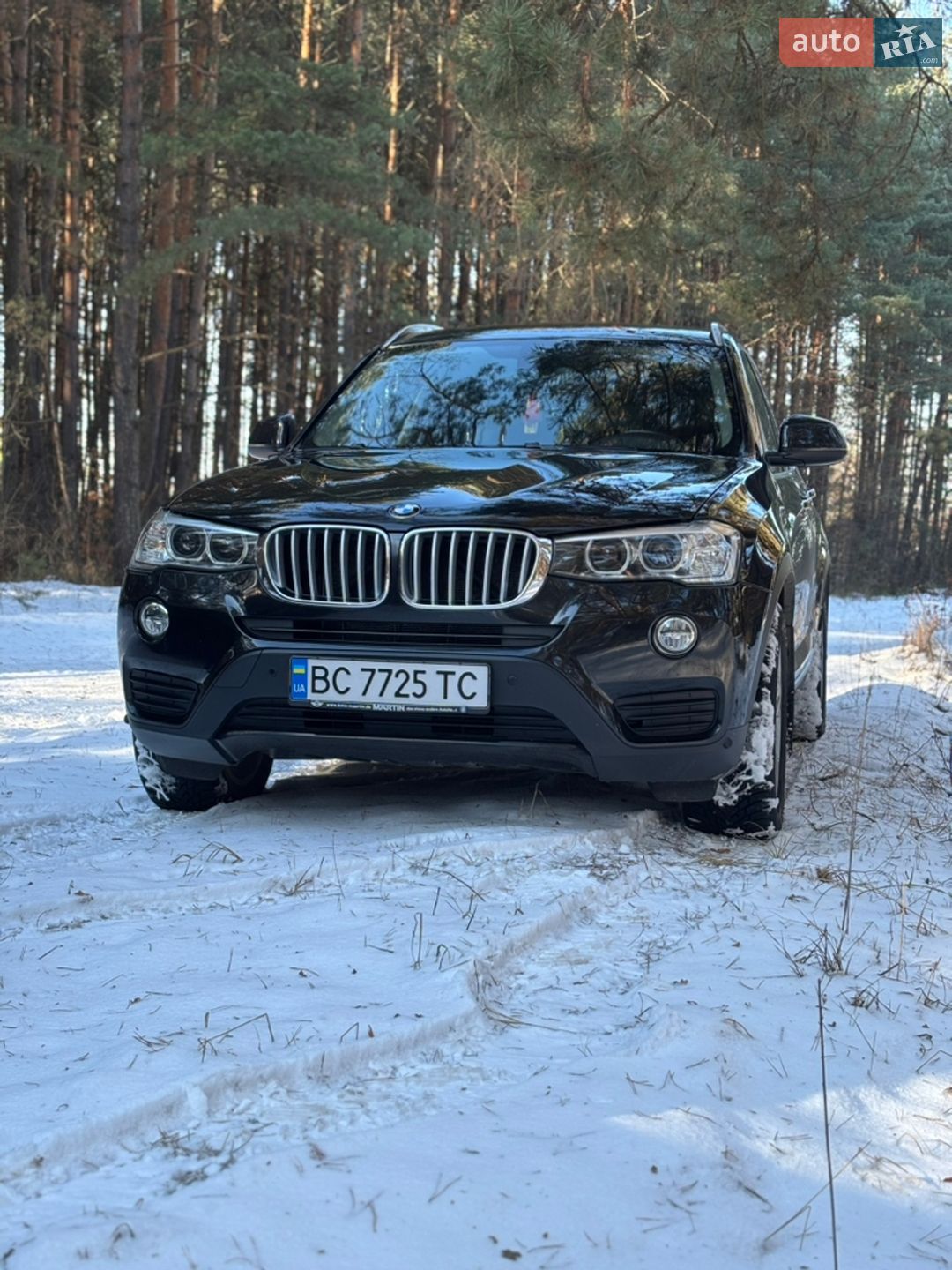 BMW X3 2014 VIN WBAWZ510000L07385 фото оголошення 6 з 39