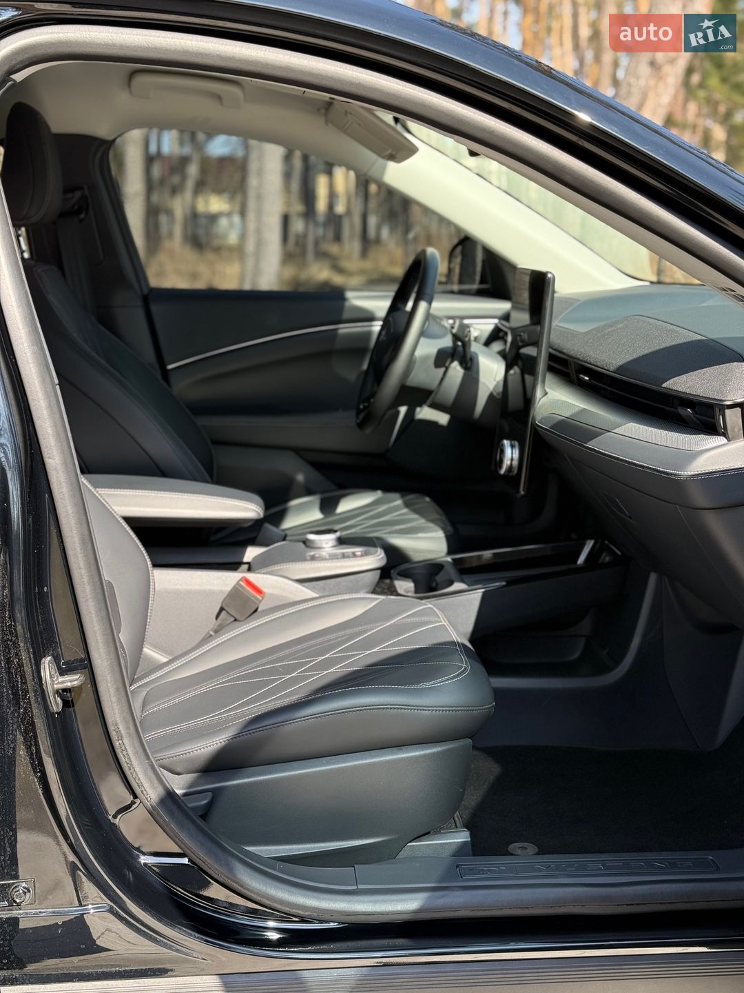 Ford Mustang Mach-E 2023 VIN 3FMTK1RM5PMA46204 фото оголошення 10 з 14