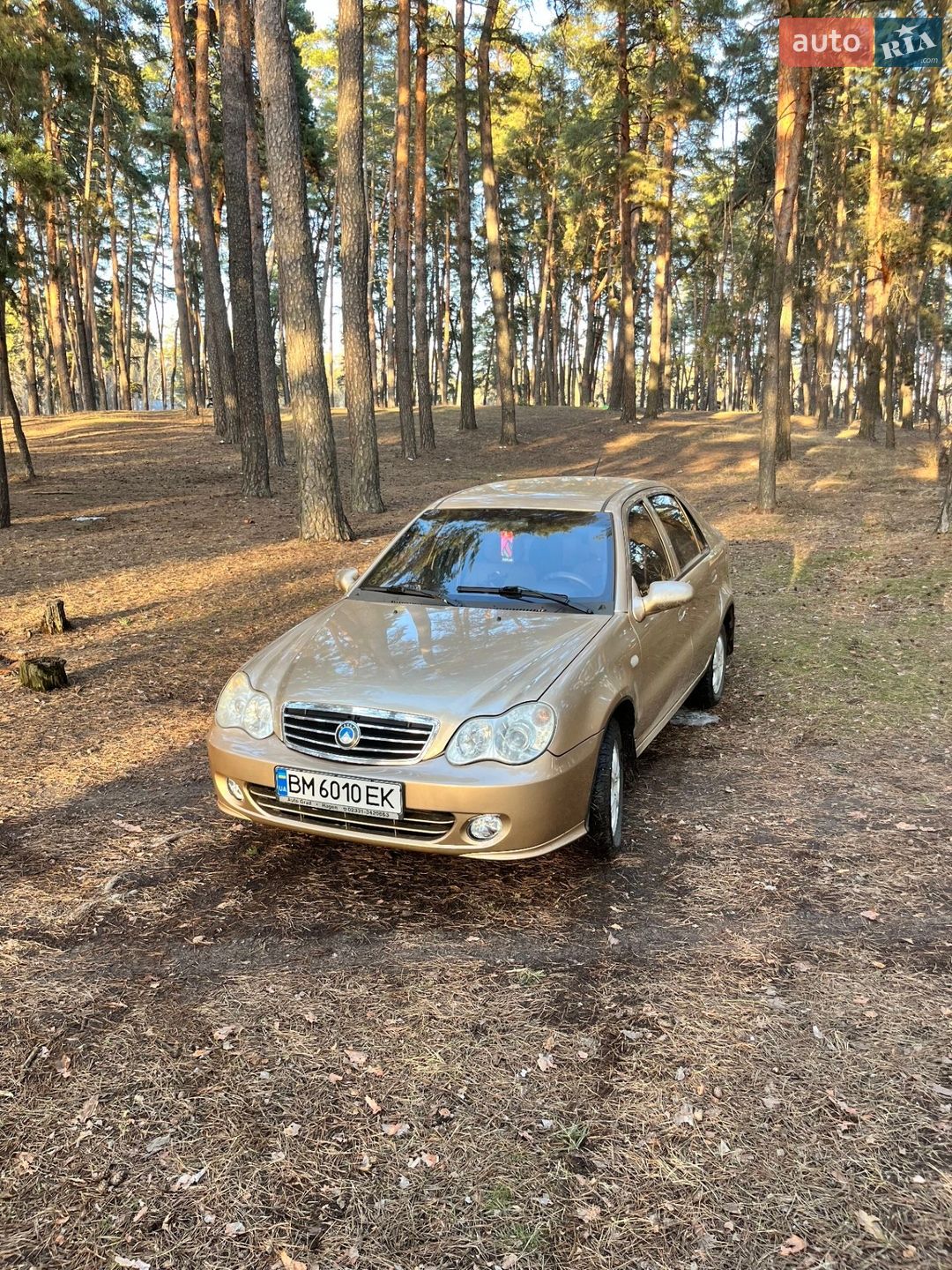 Geely CK 2011 VIN L6T7524S2CN002719 фото оголошення 48 з 48
